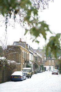 Pindock-Mews-In-Snow-199X300.Jpg