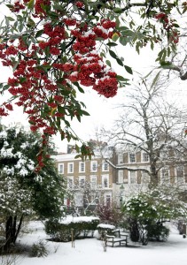 St-James-Gardens-In-Snow-211X300.Jpg