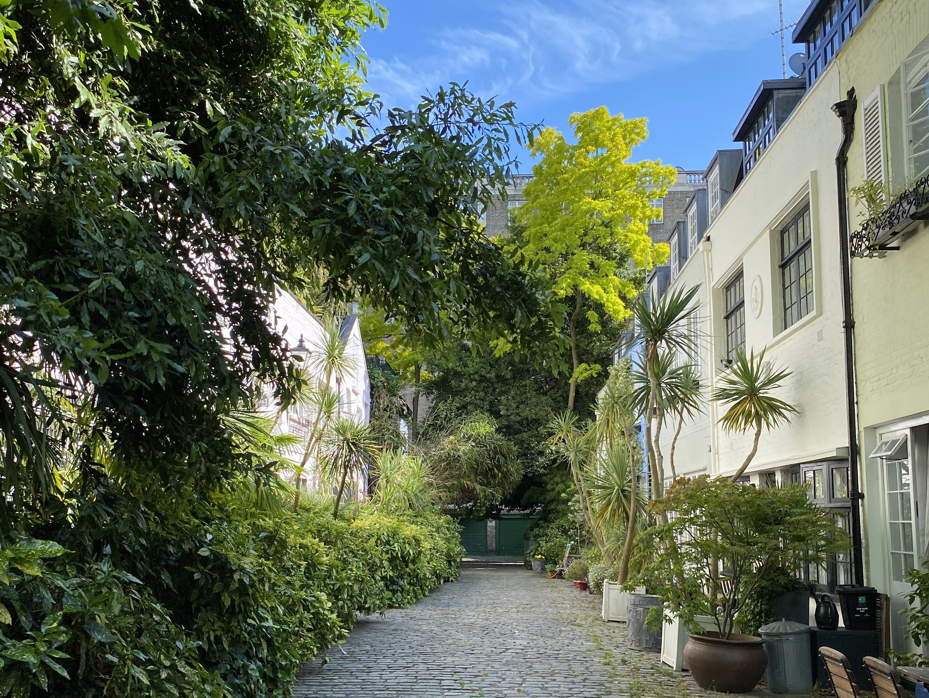 Quiet London mews street called Albion Mews with trees and potted plants, residential buildings, and cobblestone path.