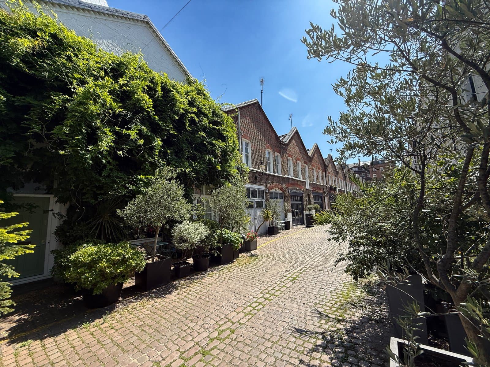Vibrant cobbled street with charming terraced houses and lush greenery, perfect for London residential property.