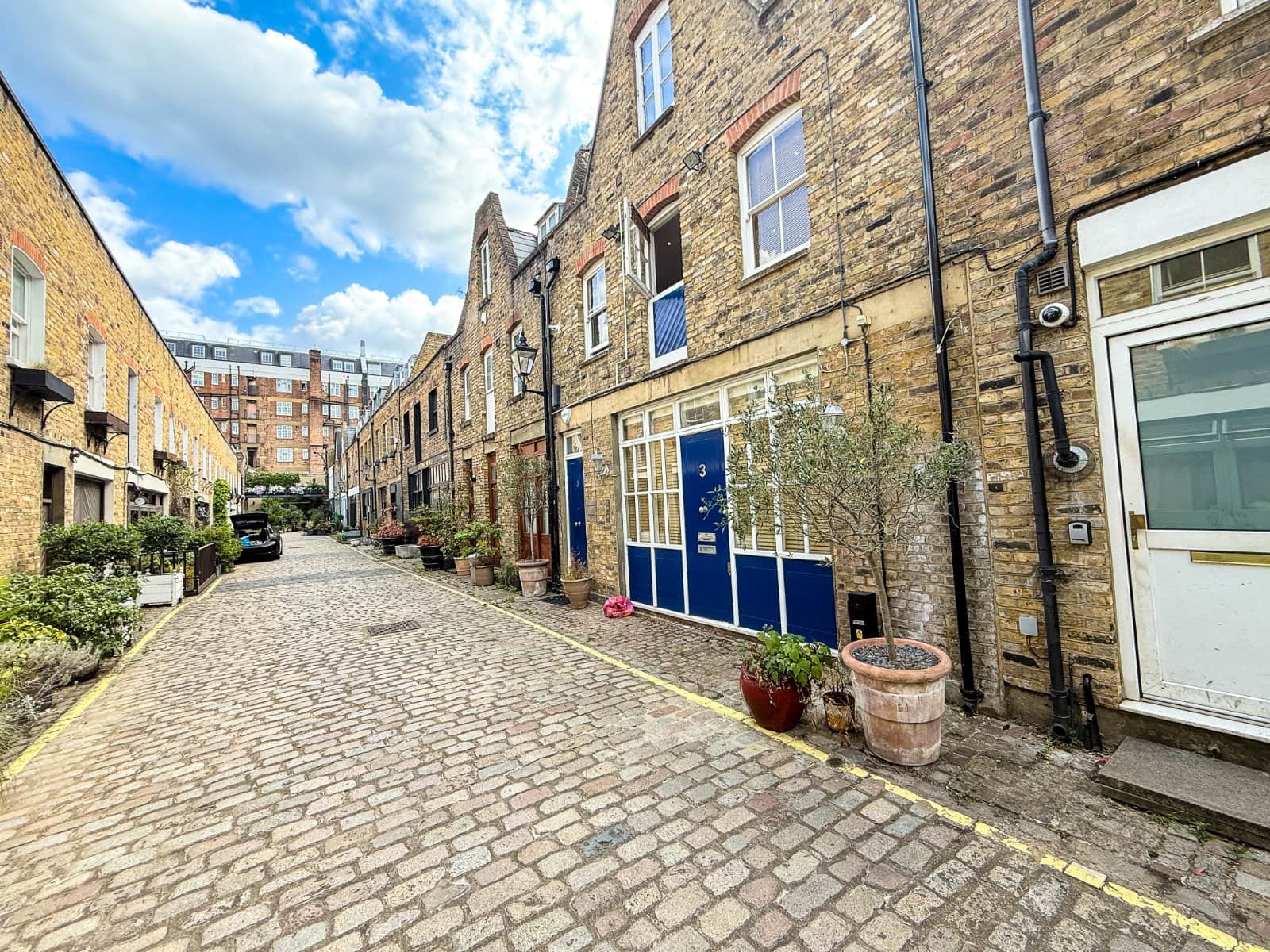 Cobblestone residential alley with historic brick townhouses, potted plants, and a bright blue door.