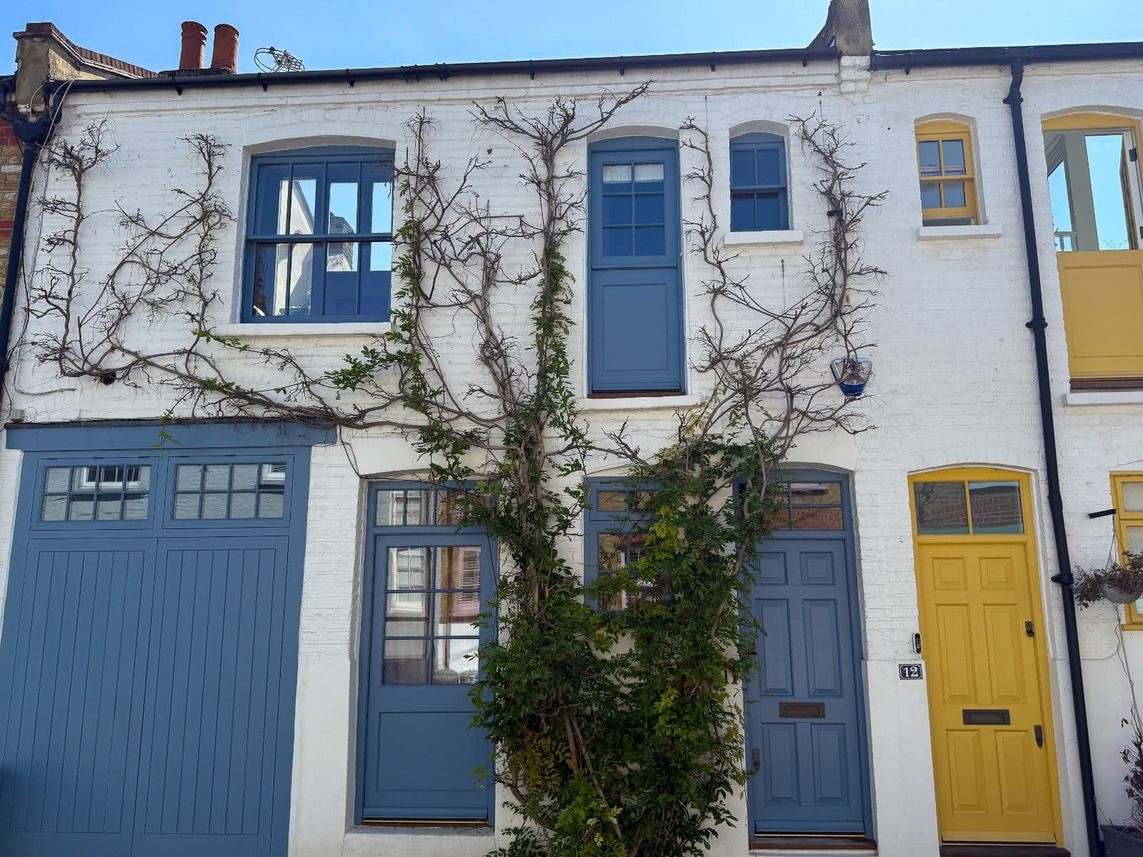 Vibrant white brick townhouse with blue and yellow doors, charming vine growth, featuring classic architectural details.