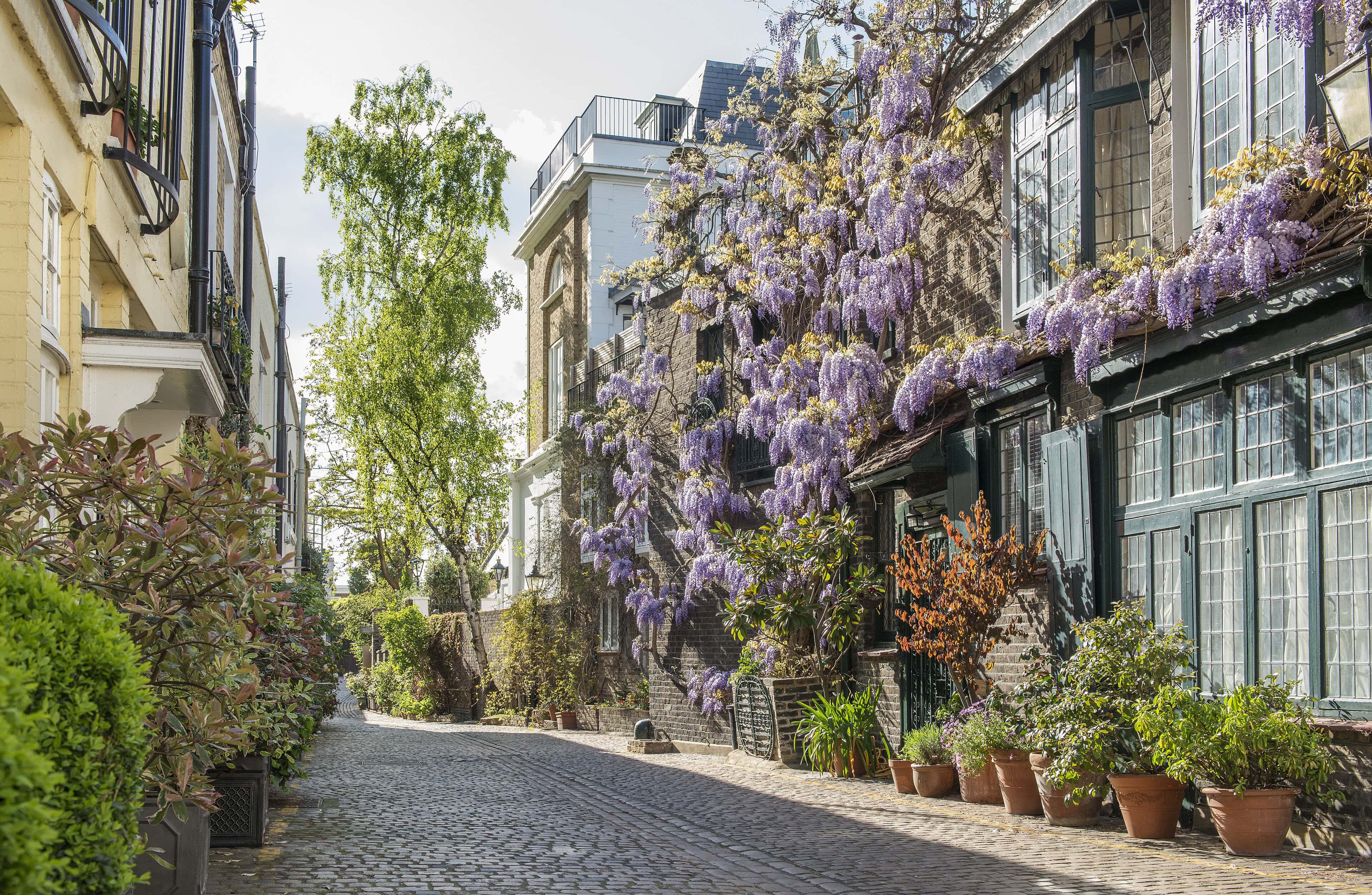 Kynance Mews is a popular mews street in South Kensington, popular across Instagram and famously used in Netflix films.