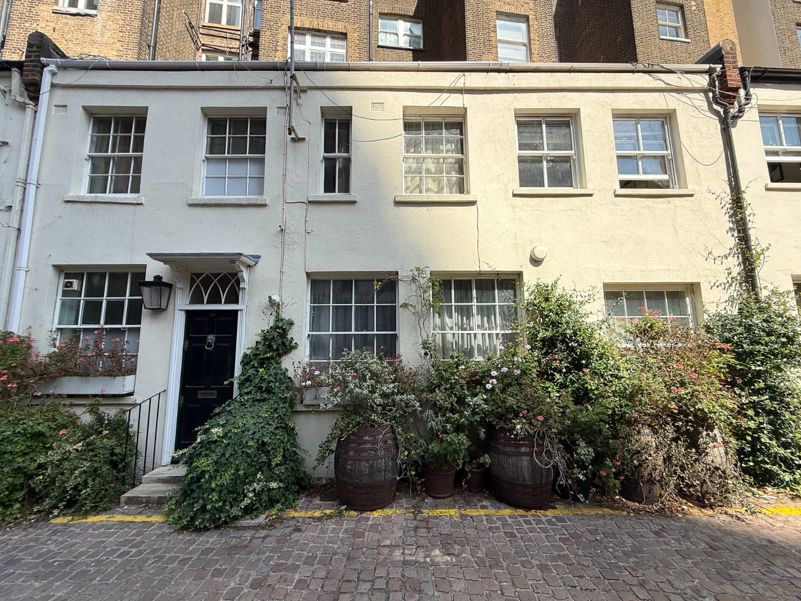 Charming London terraced house with classic architecture, lush plants, and vintage decor.