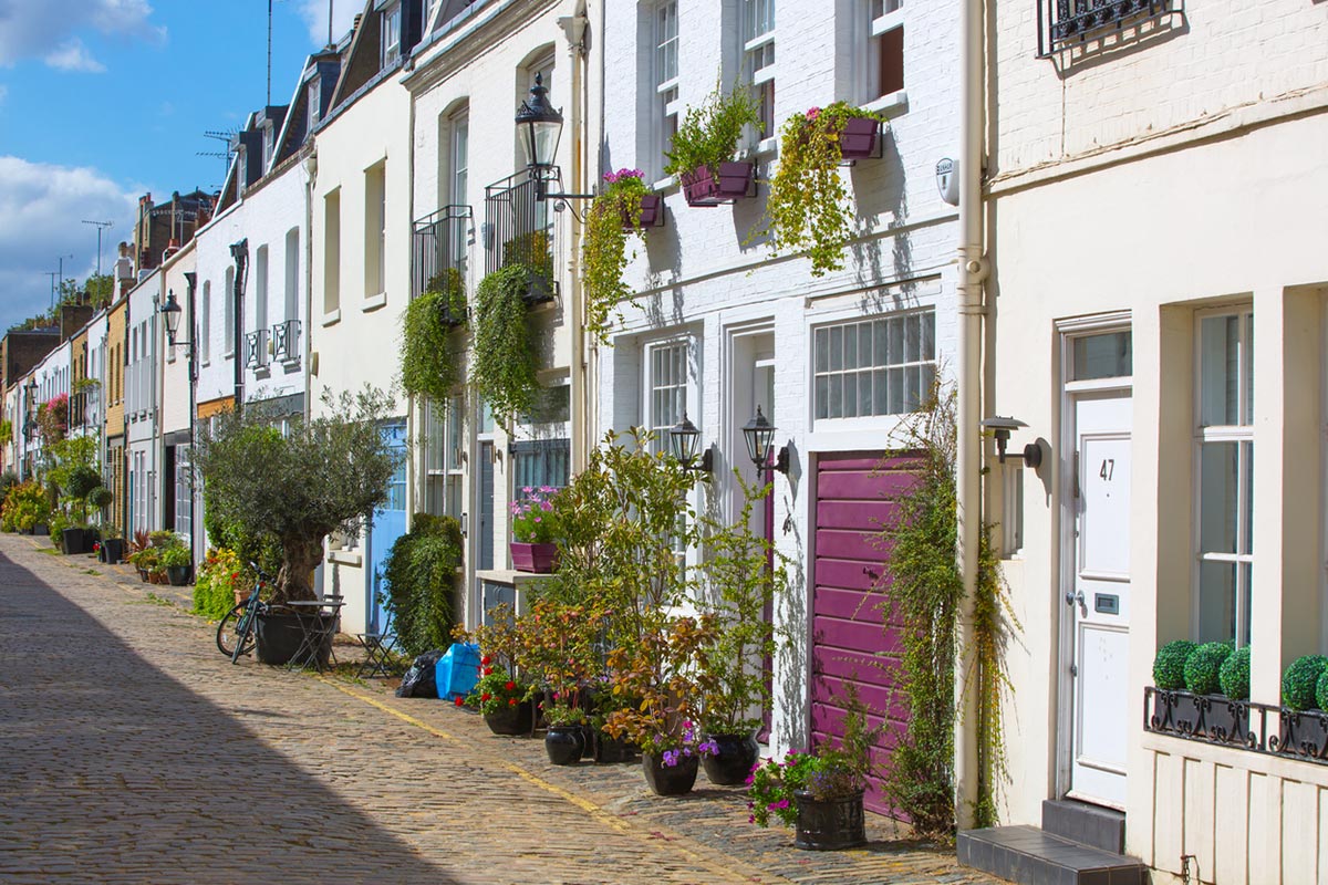 A mews in bloom