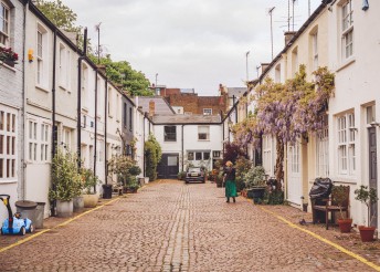 the-elephant-in-the-mews