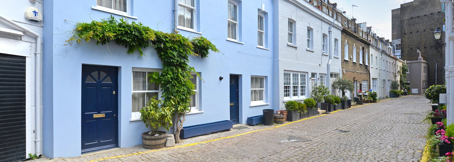 Charming blue-painted terraced houses on a cobbled London street with potted plants and greenery.