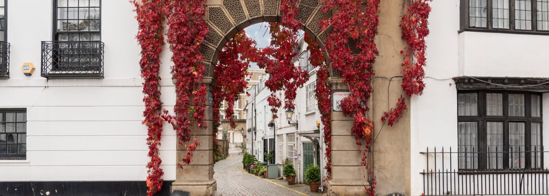 Vibrant red ivy climbing historic archway on white building in central London.
