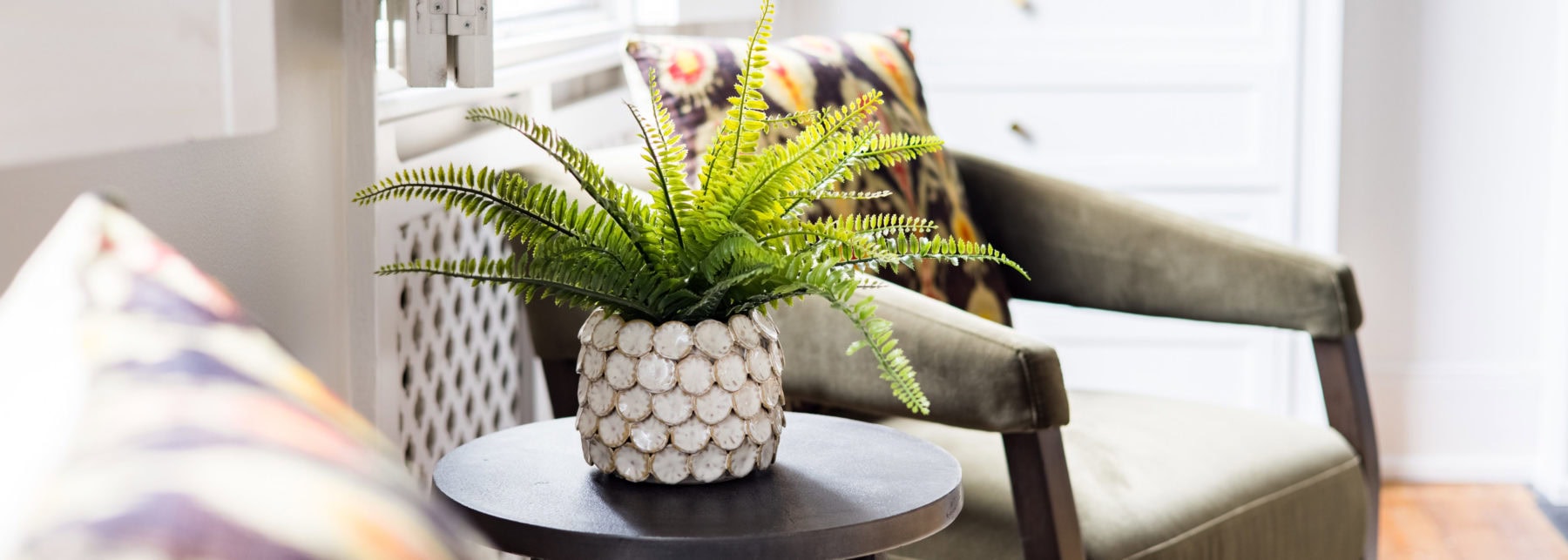Lush green fern plant in decorative shell vase on side table in stylish living room.
