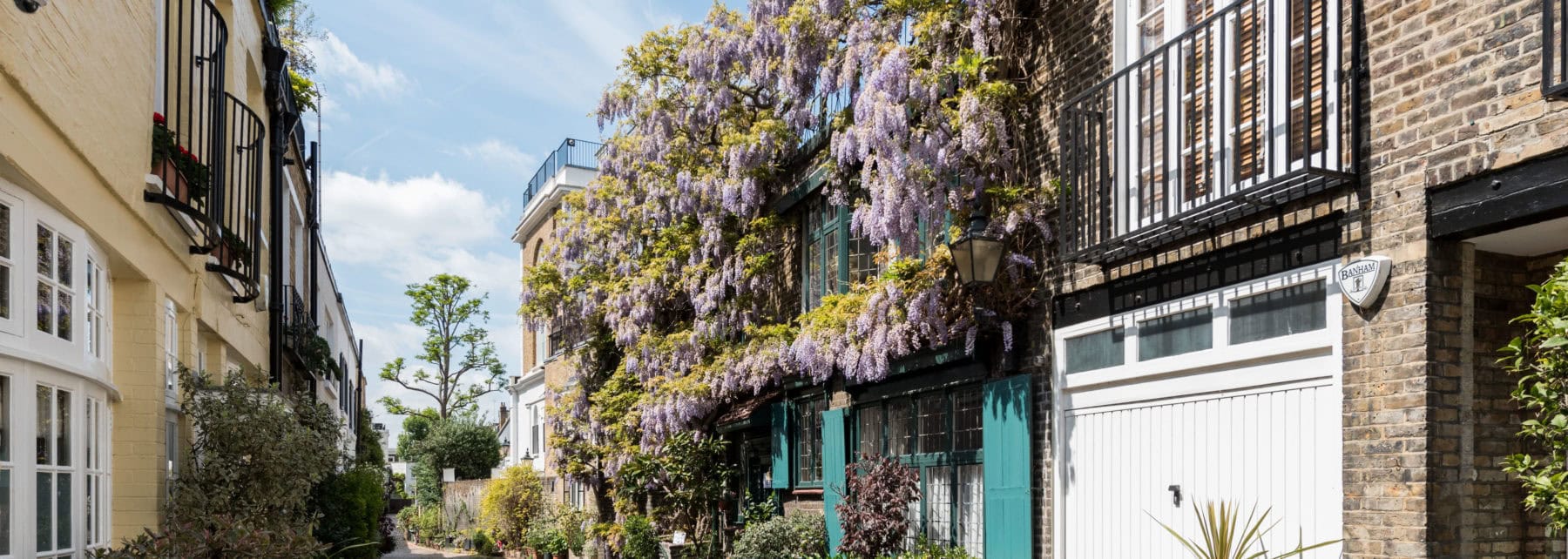 Vibrant London street with flowering ivy-covered brick house and charming neighbours.