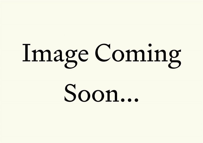 A picture of Adelina Mews is coming soon to the website