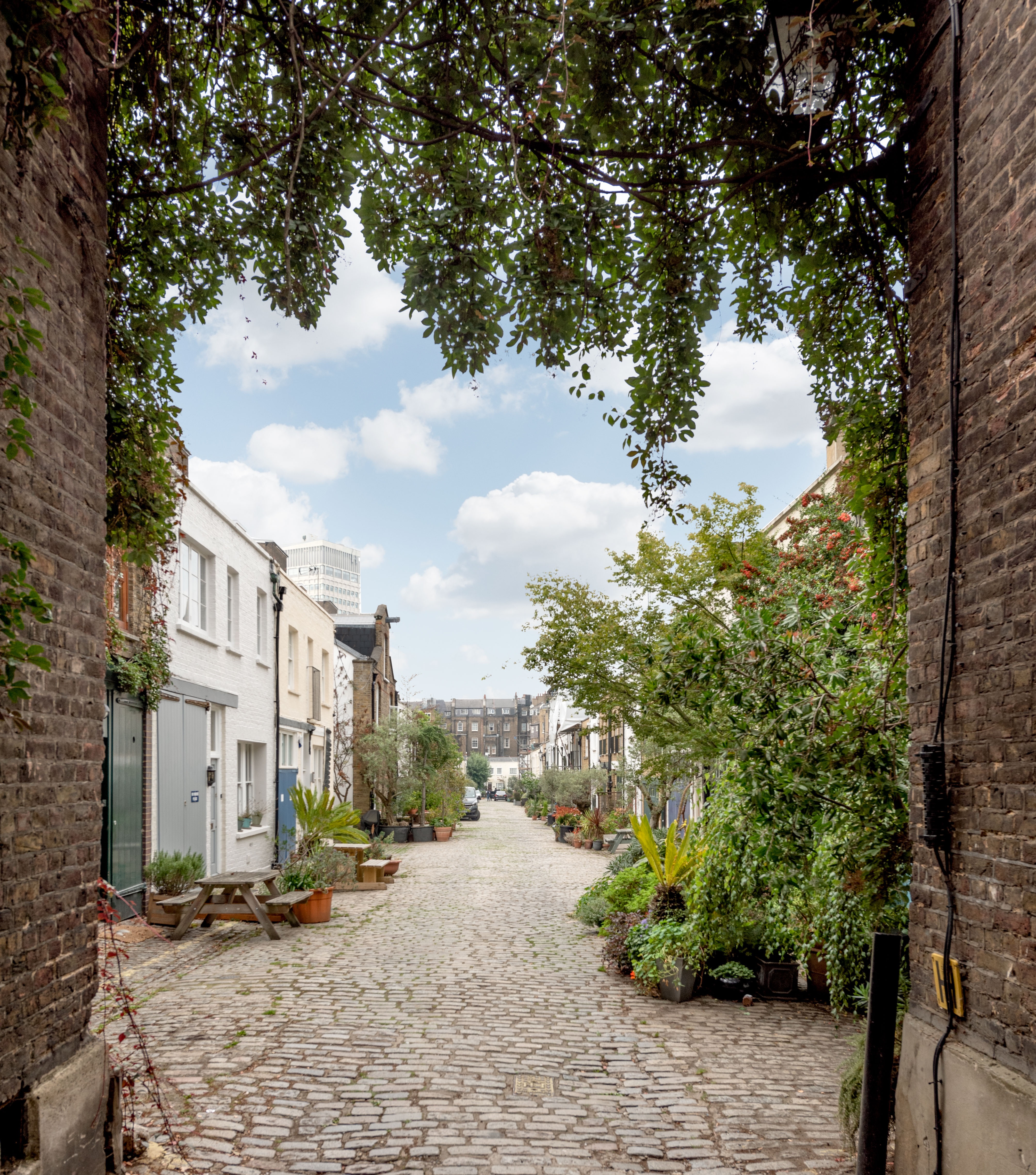 Image of Mews