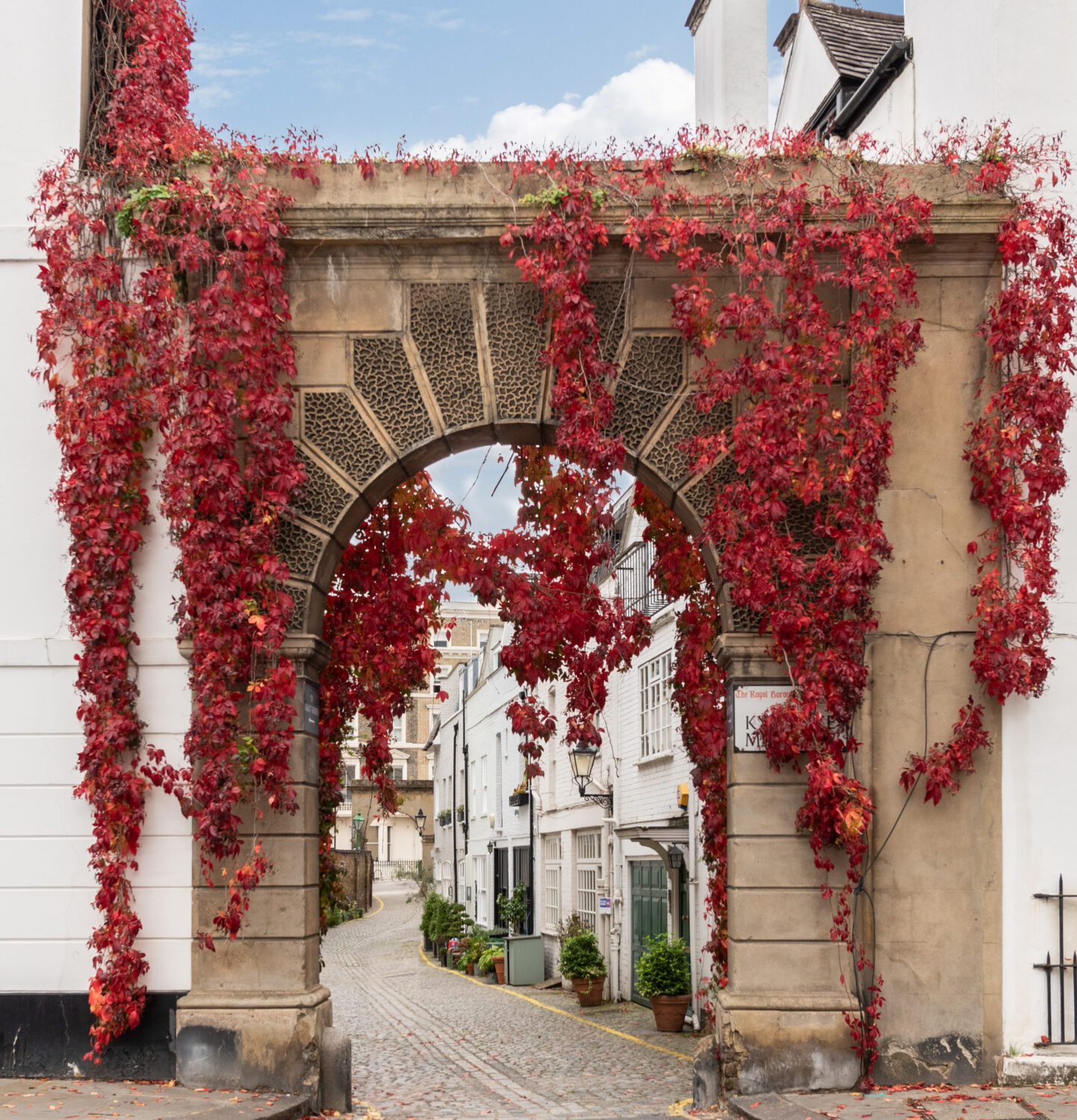 Arch with Virginia Creeper in Kynance Mews