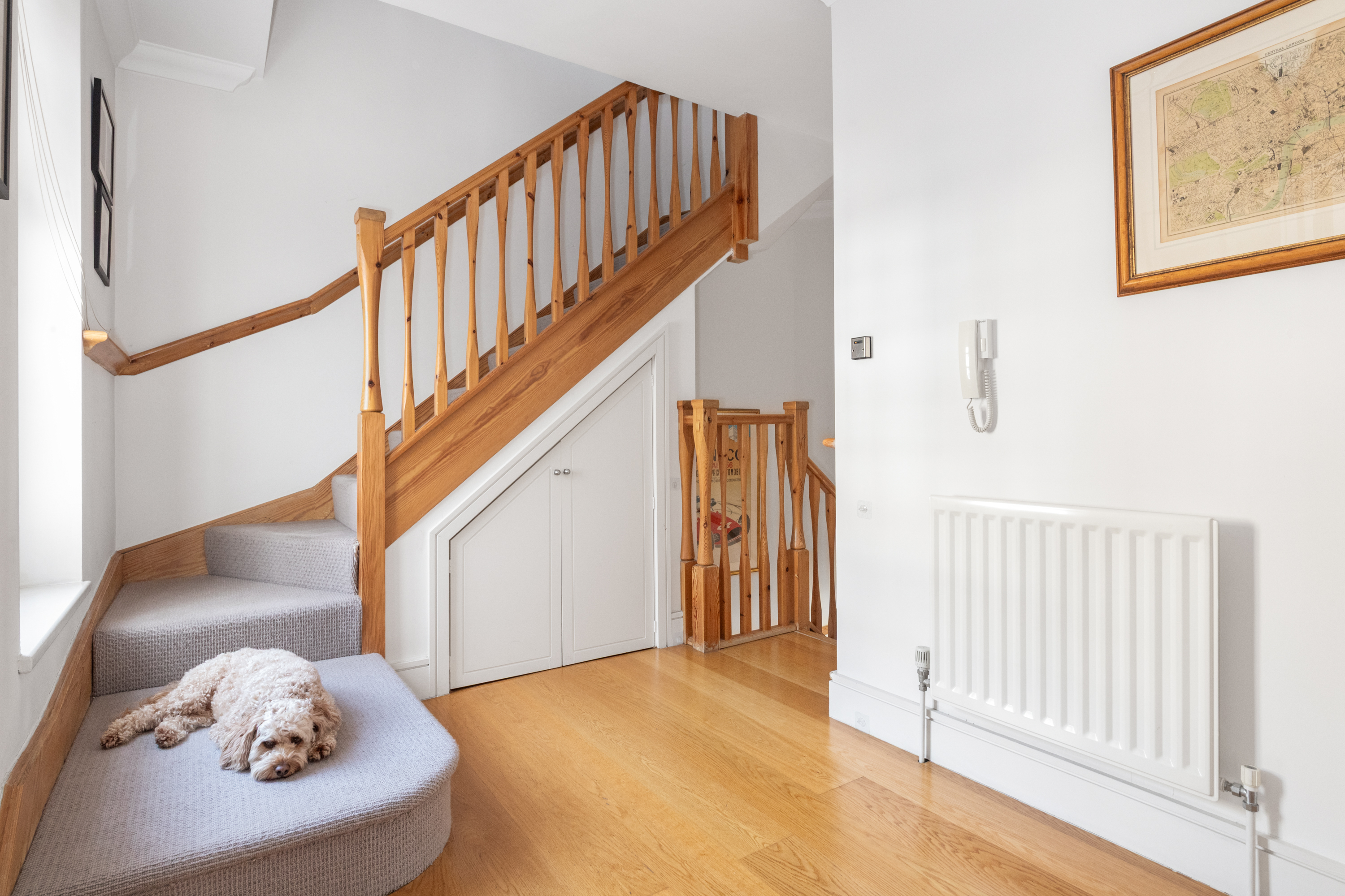 Mews house with a dog on the stairs