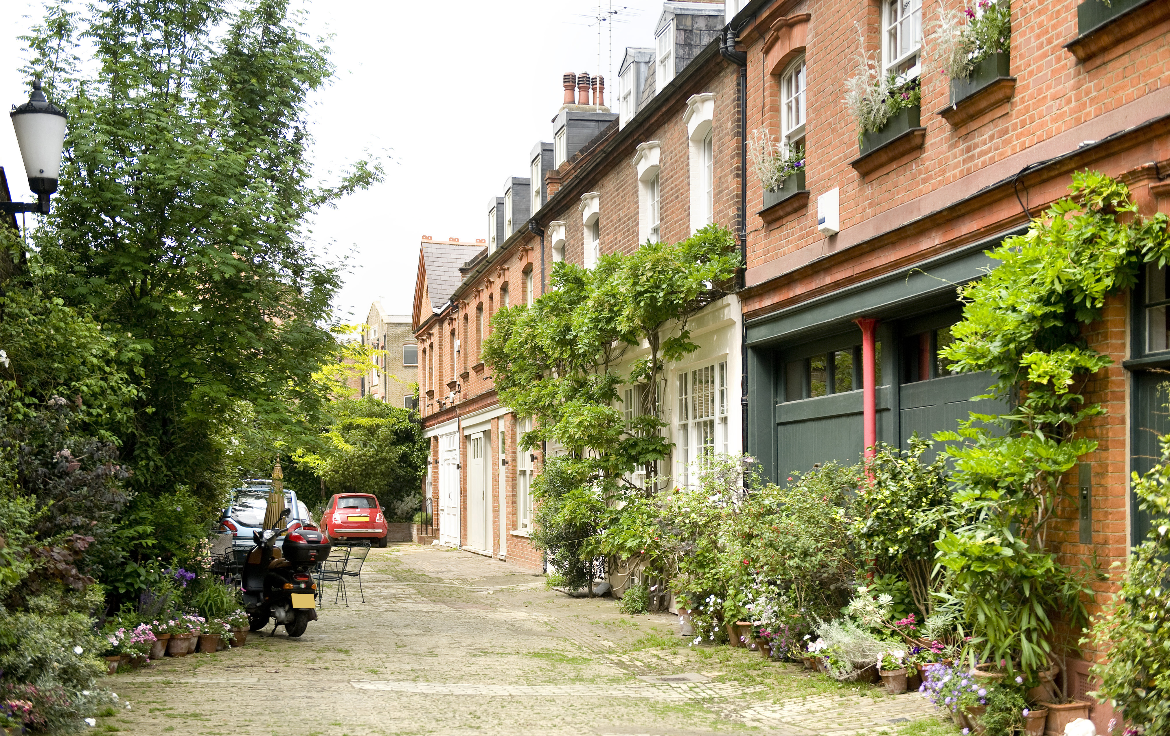 a mews house with green foliage