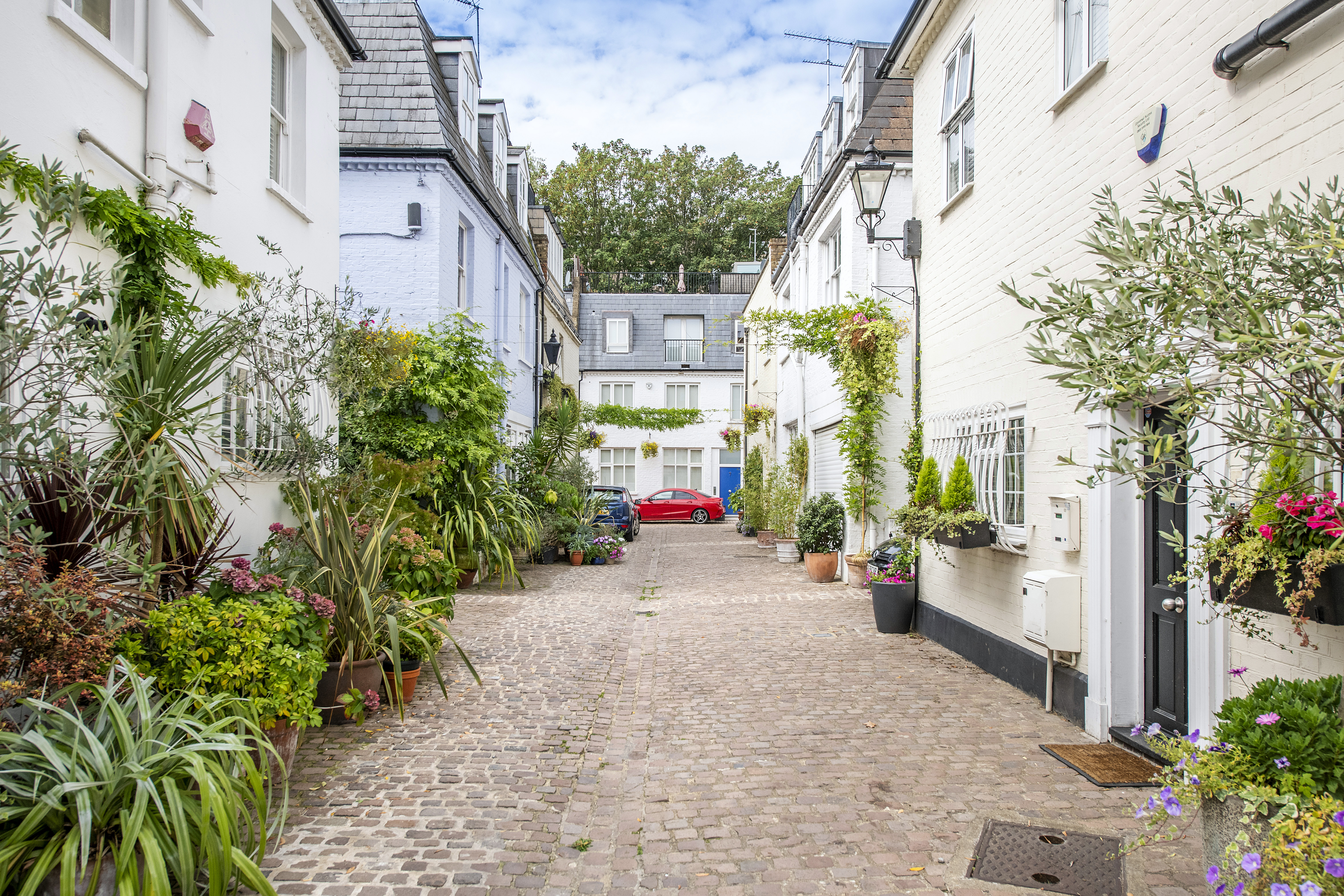 Mews properties in a mews street with a courtyard and plants