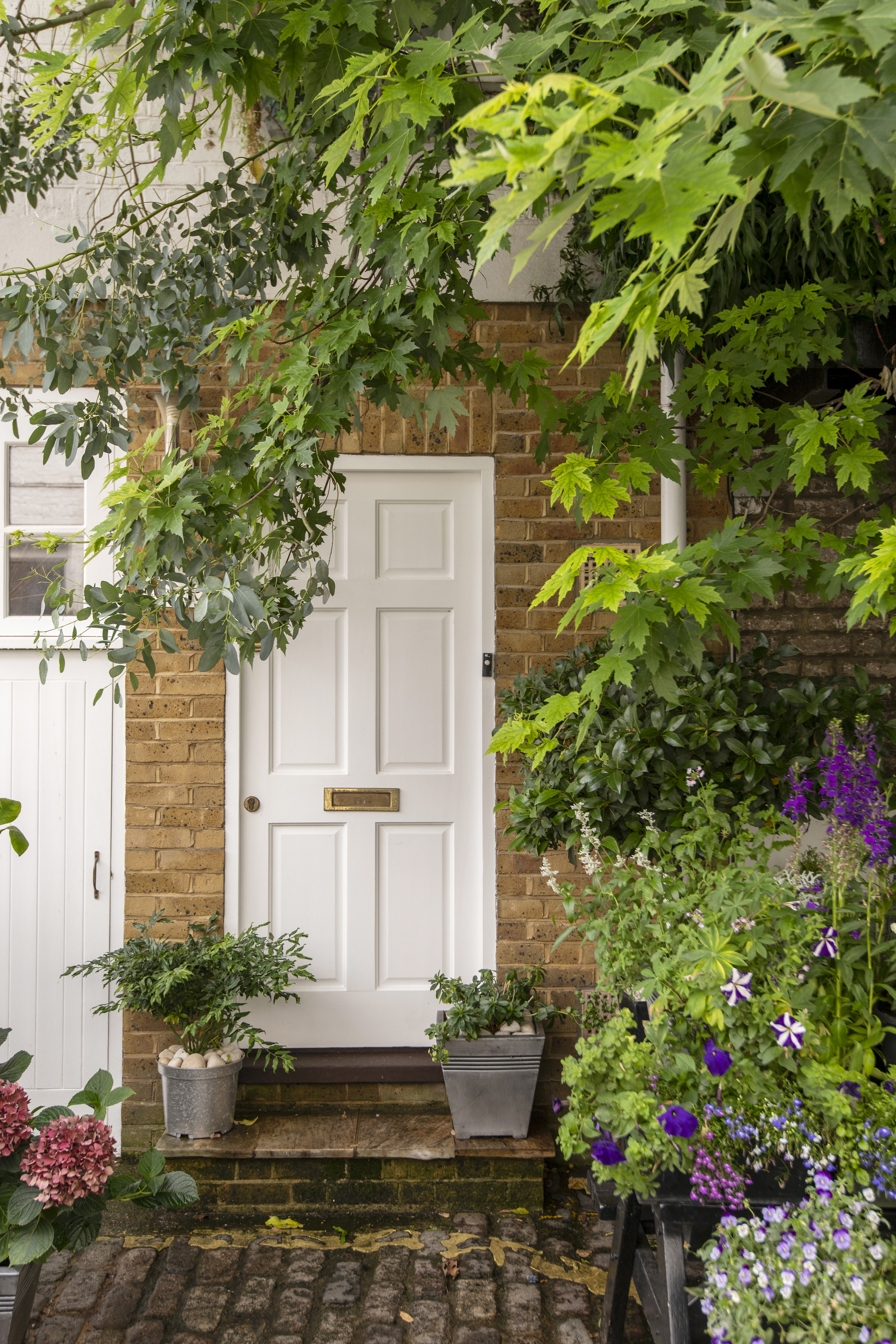 Door surrounded by flowers and foliage in the mews