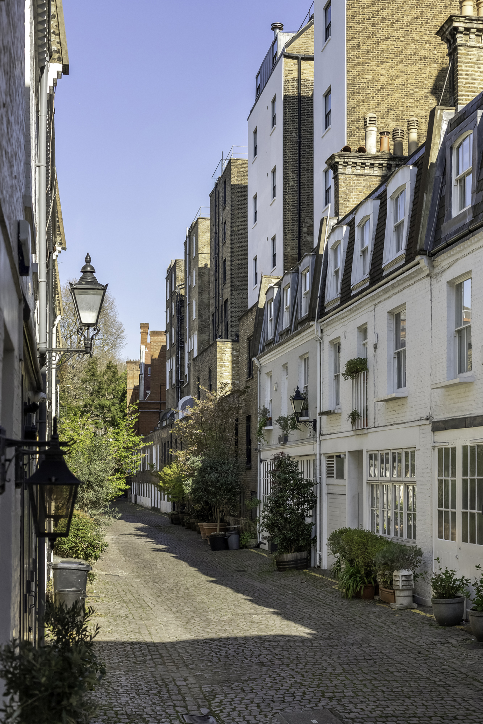 A mews street with a white mews house and plants