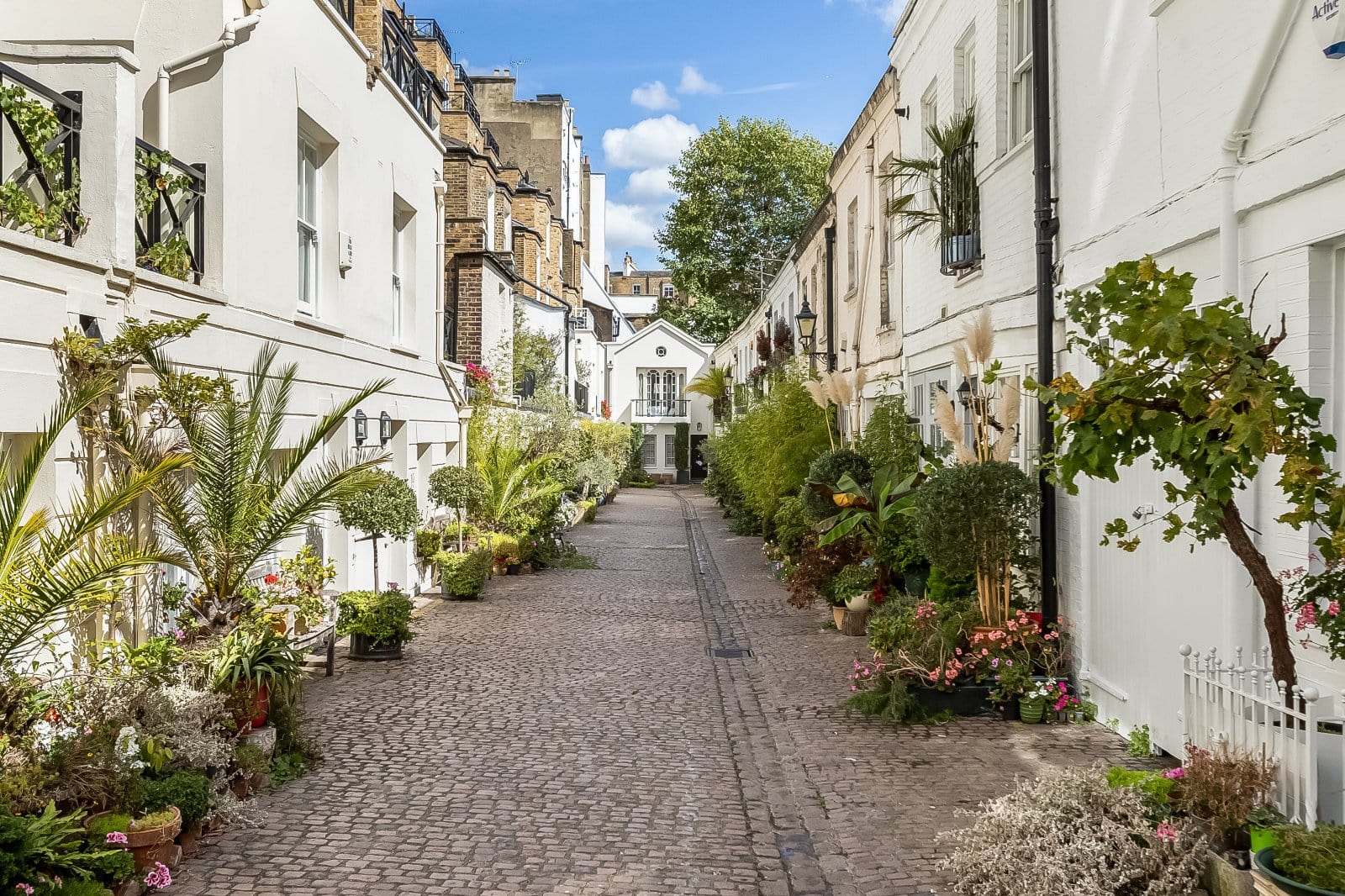 mews house with plants in a mews street