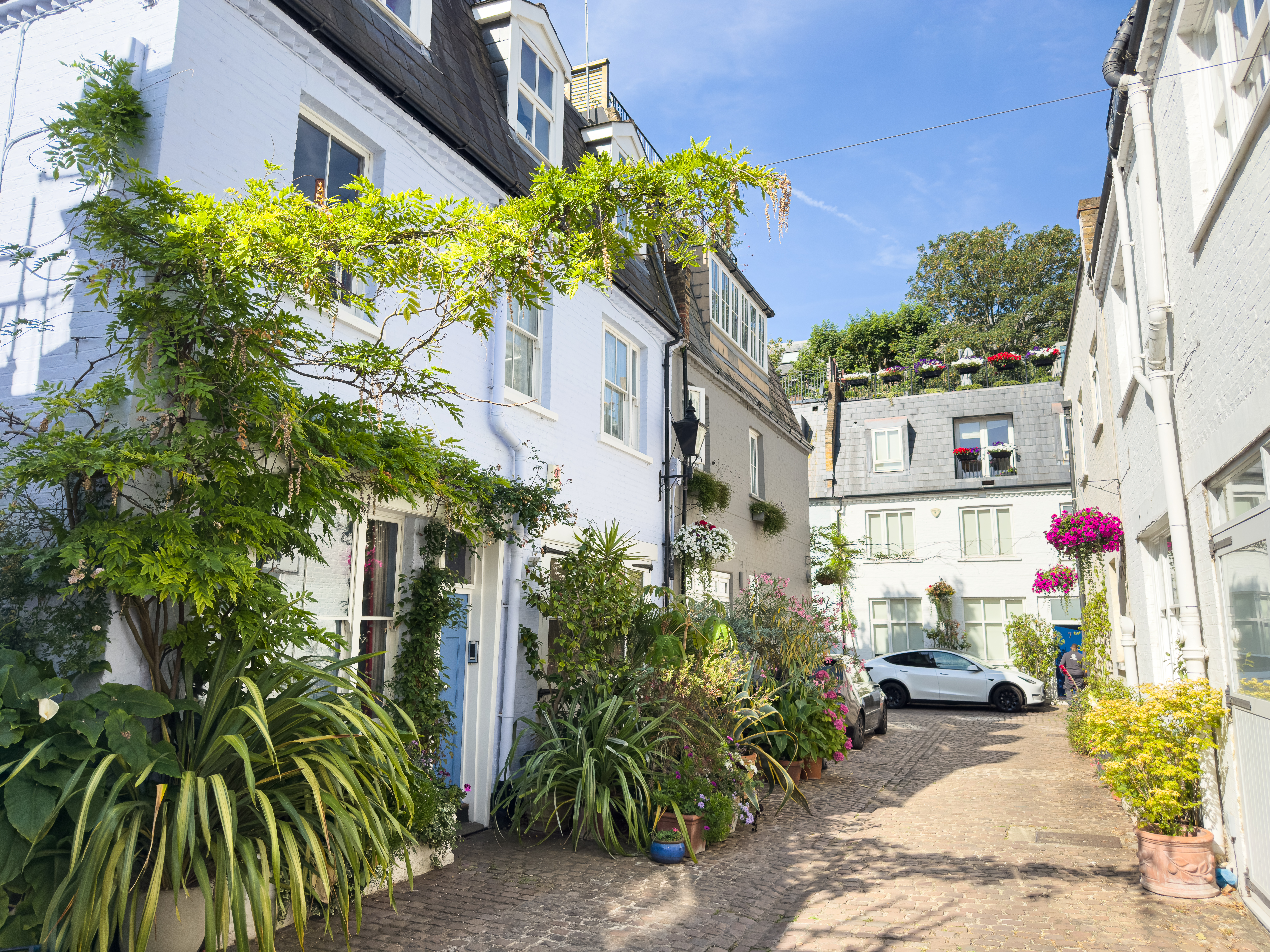 A Mews In London With Flowers