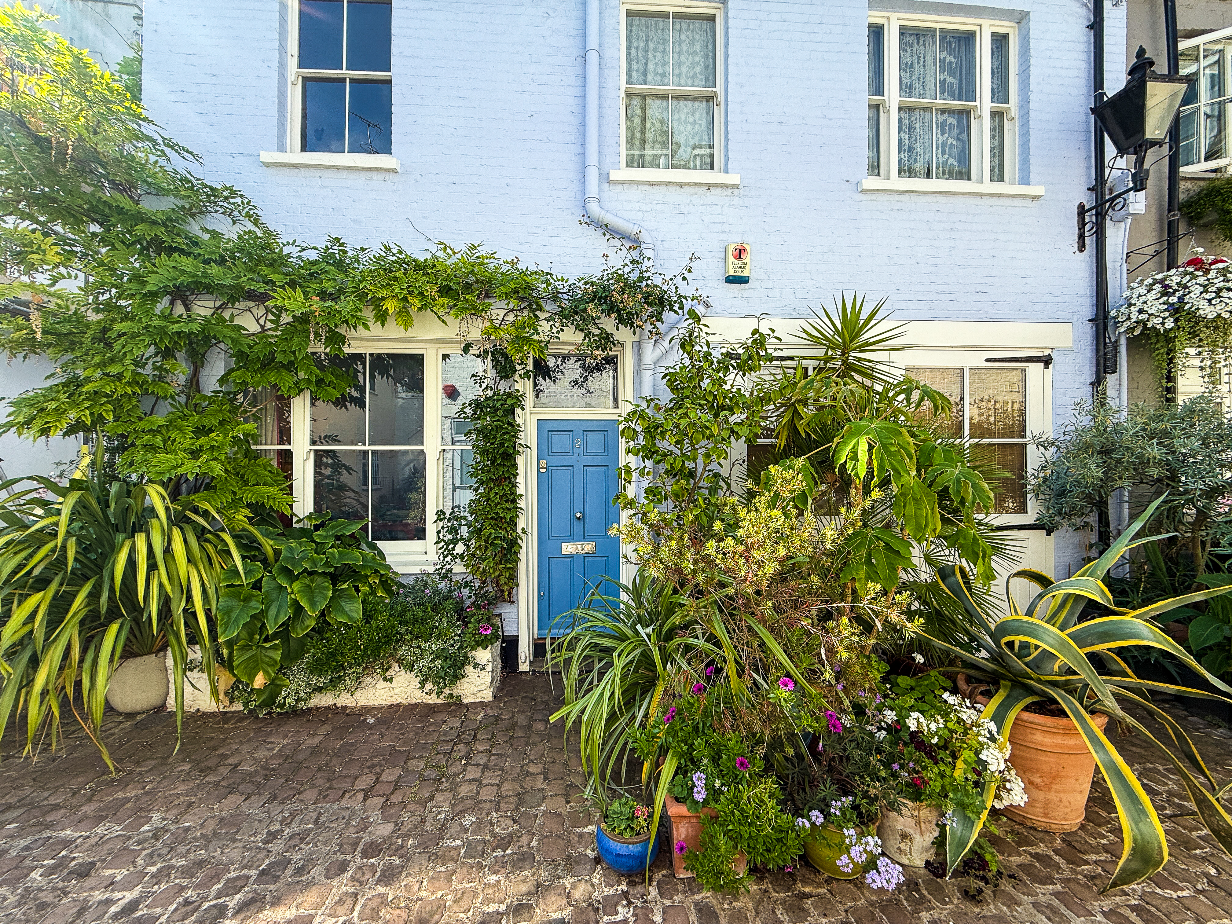Mews House In London With Plants