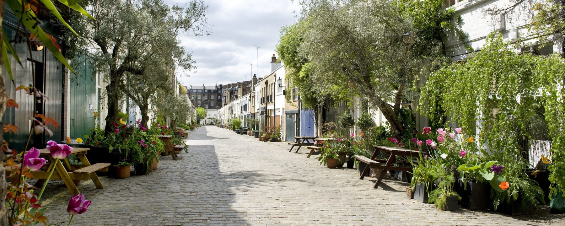 Cobblestone street lined with colourful flowers and leafy trees in a charming residential area, under partly cloudy sky.