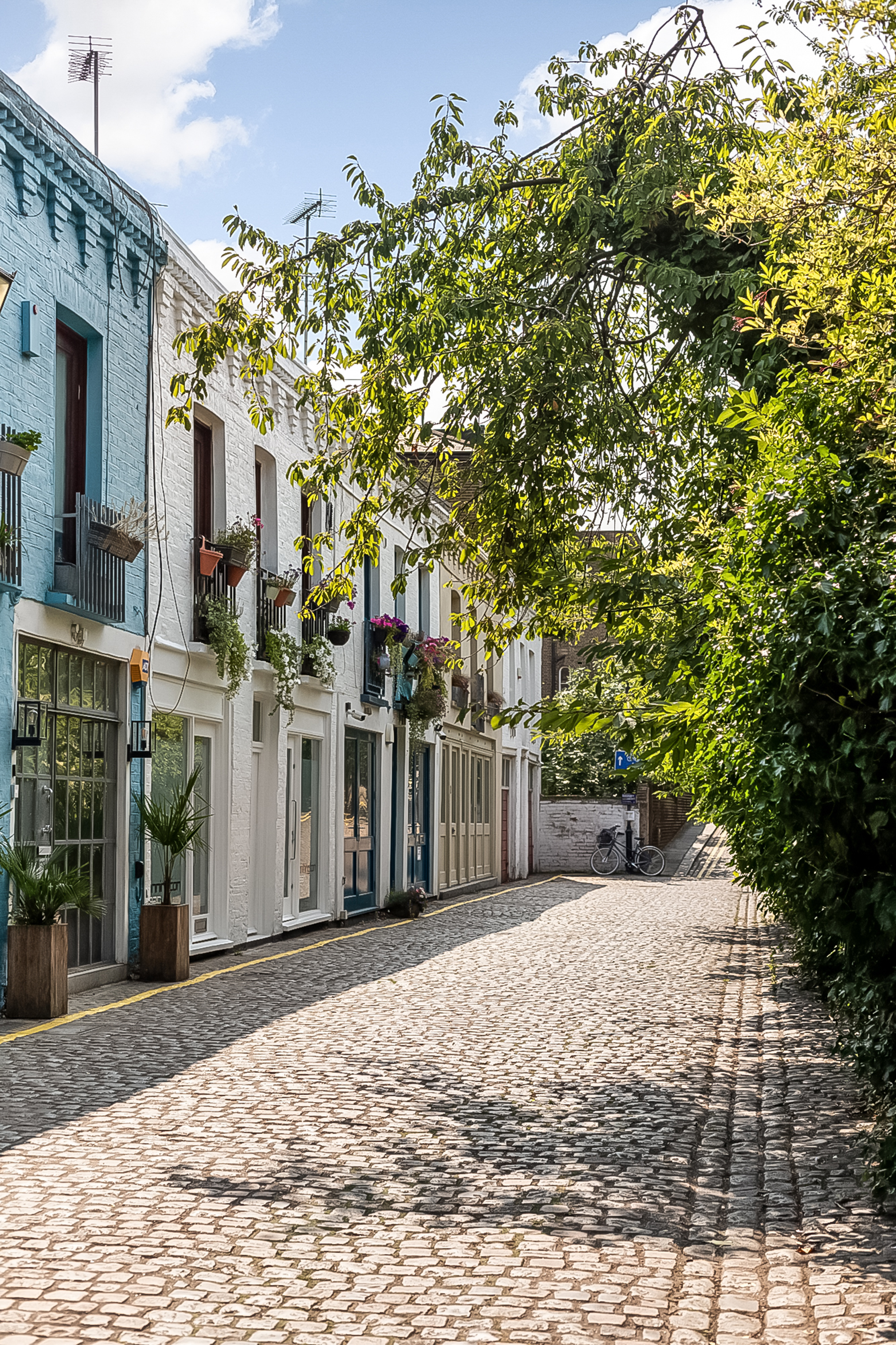A mews street with a tree