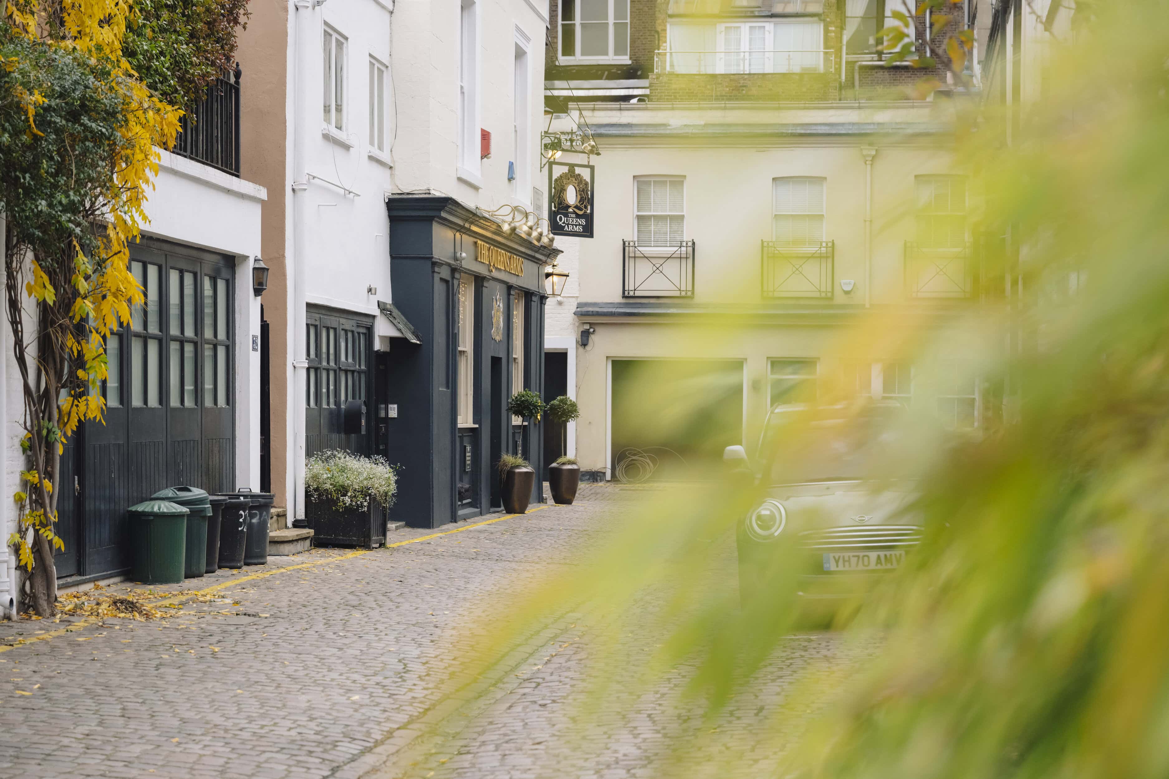 A pub on a mews street in London with the leaf out of focus of the shot
