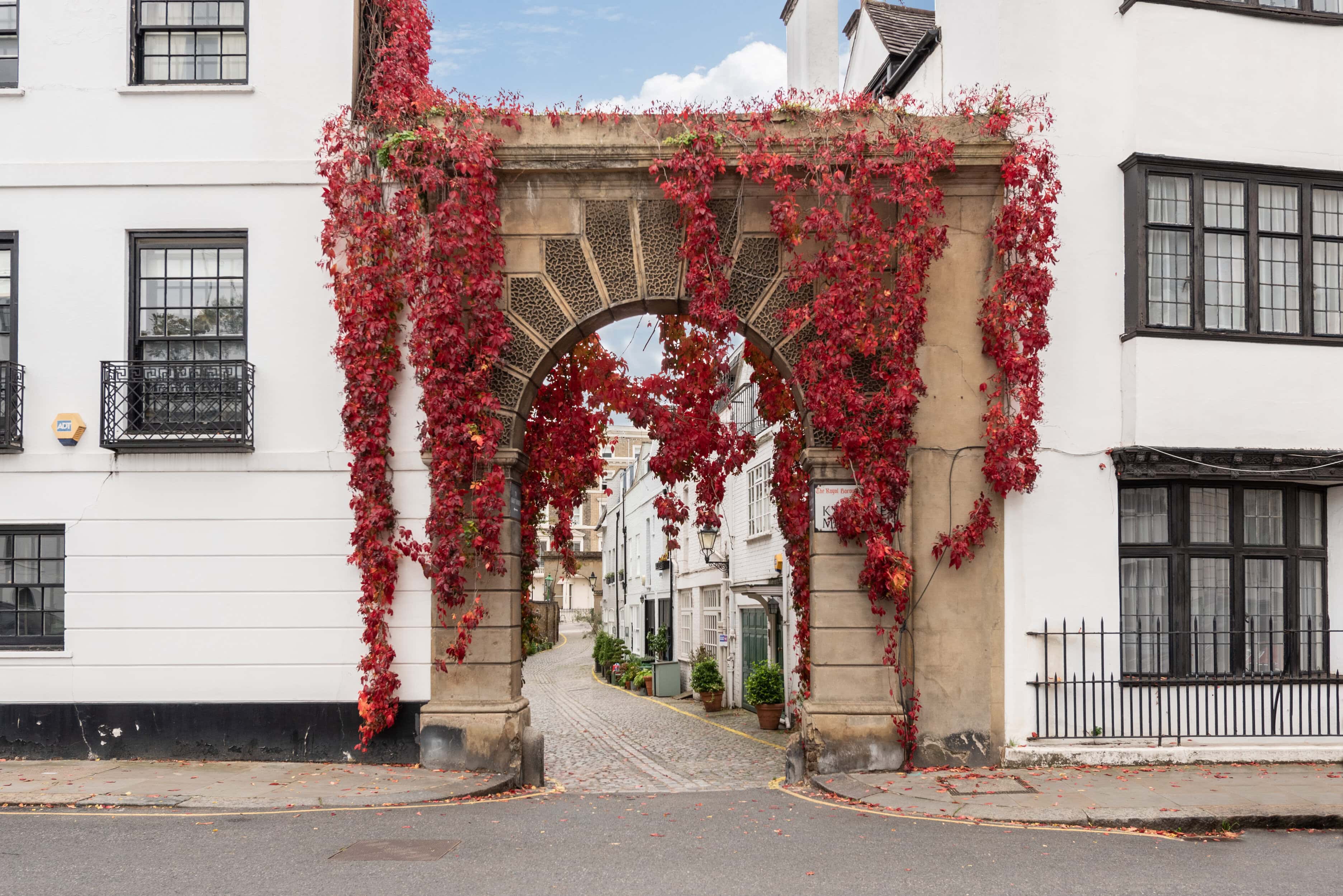 The arch of Kynance Mews with red wisteria
