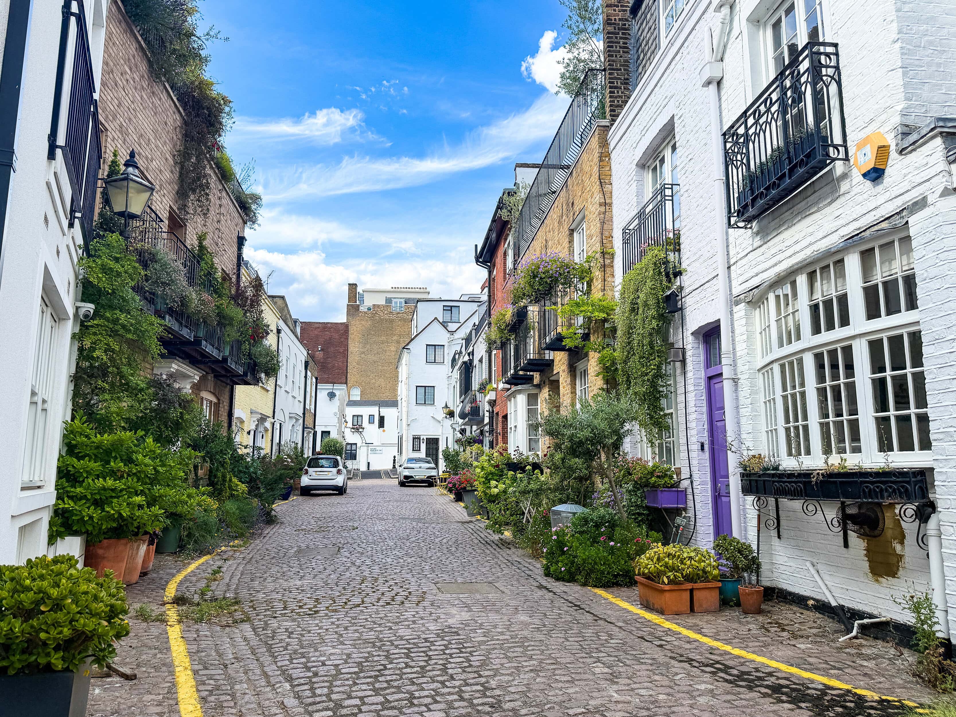 Mews streets with flowers and trees outside the front doors