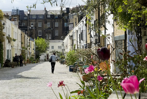 A person walking down a cobbled mews street with flowers in the foreground on a spring day
