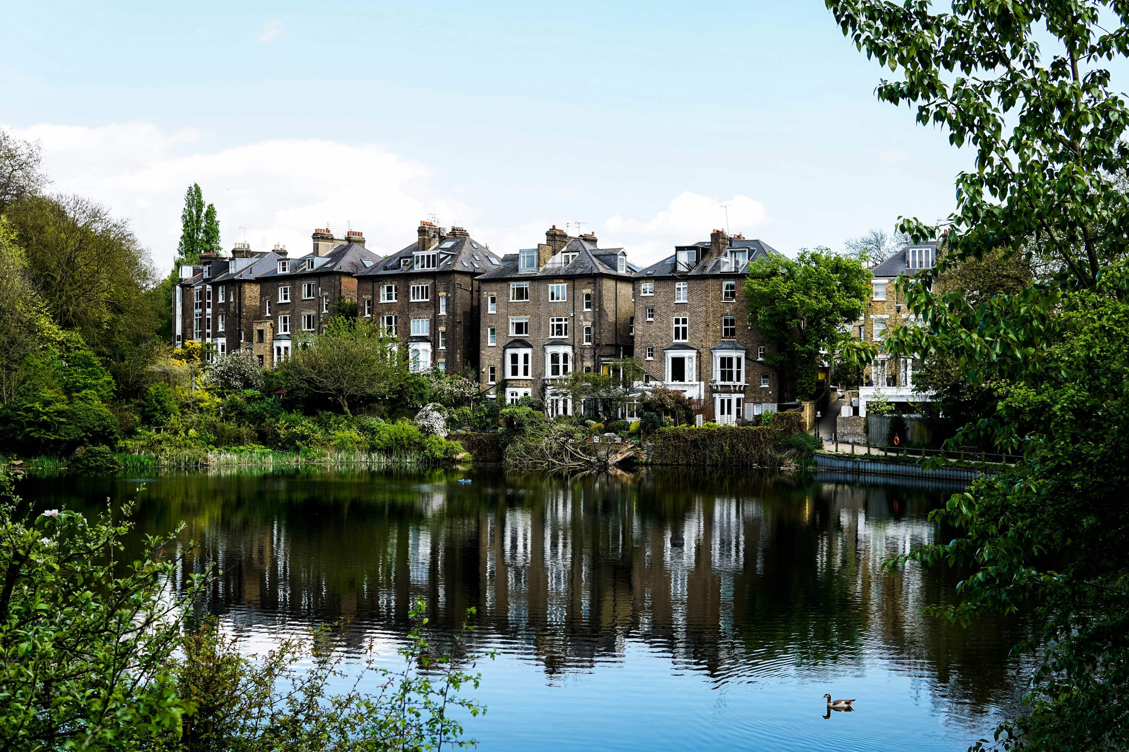 Hampstead Heath in the ultimate area guide to hampstead and belsize park