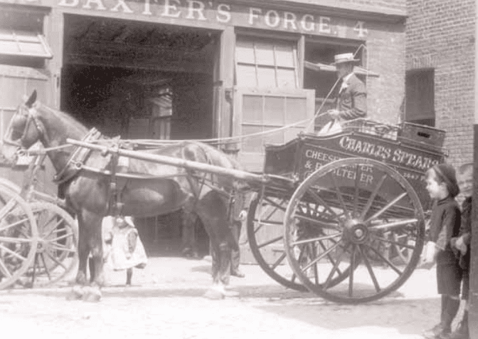 Old mews pictures of a horse in a mews and stables