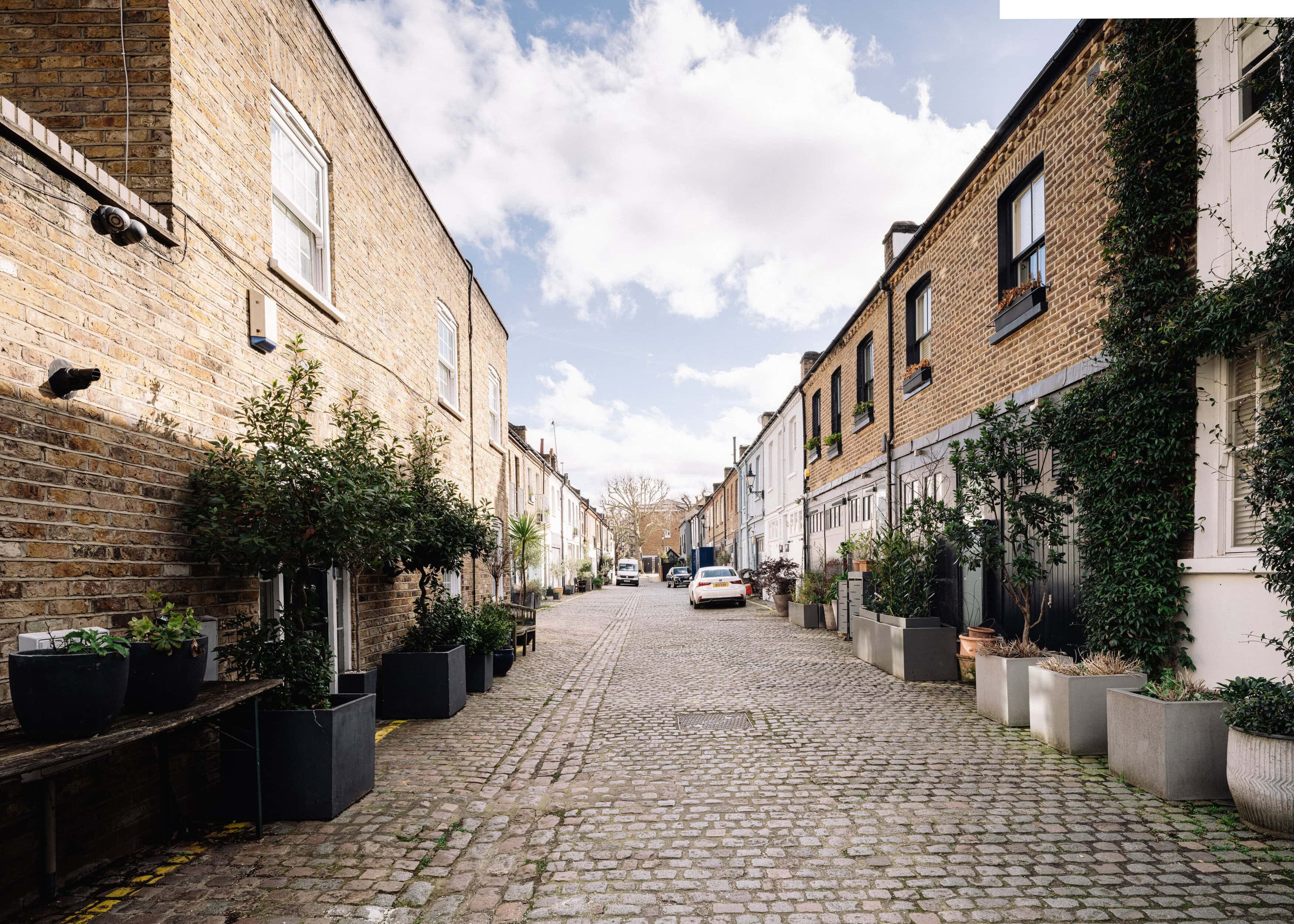 A mews street with a mews property and bushes outside