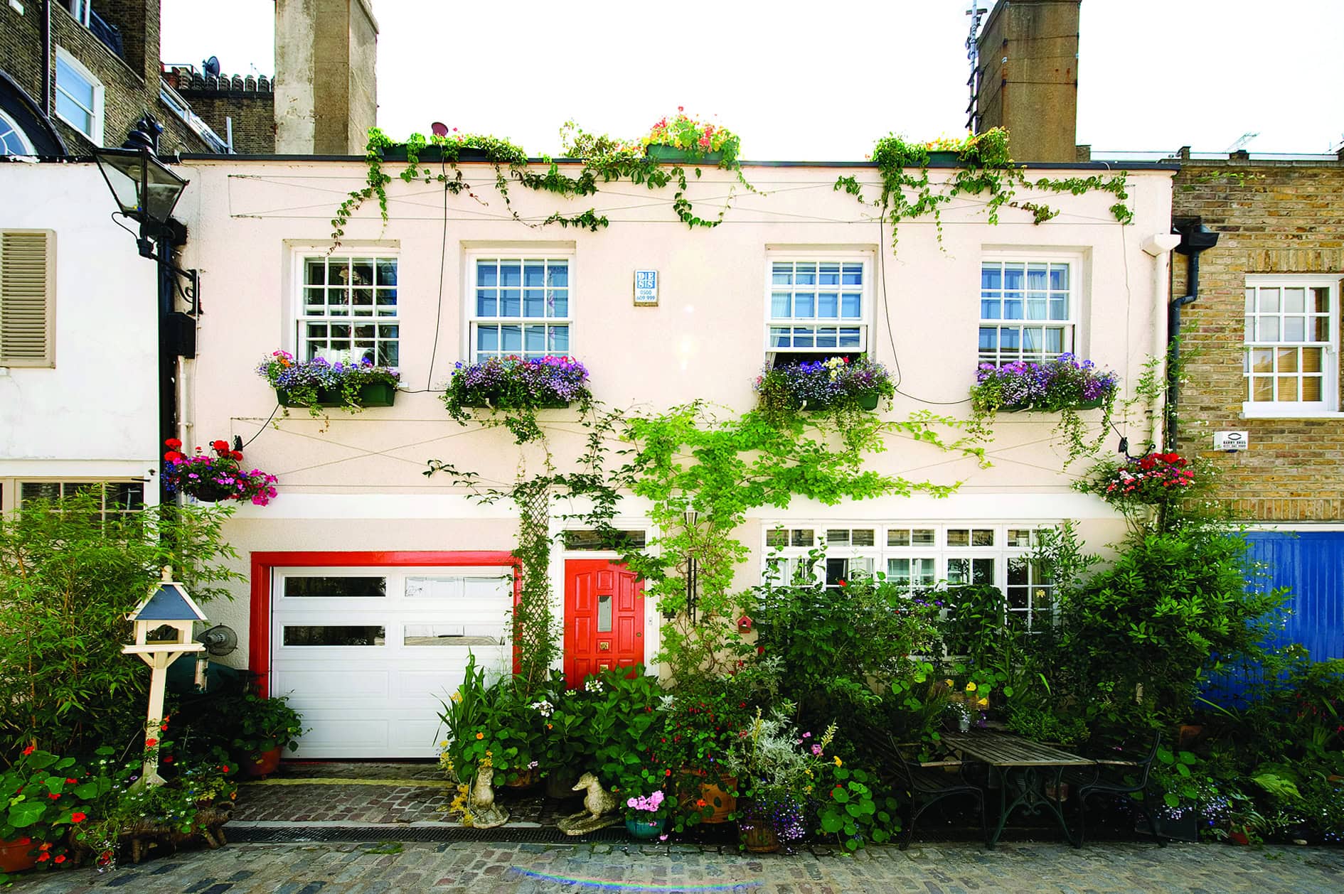 Mews in Bloom competition 2026