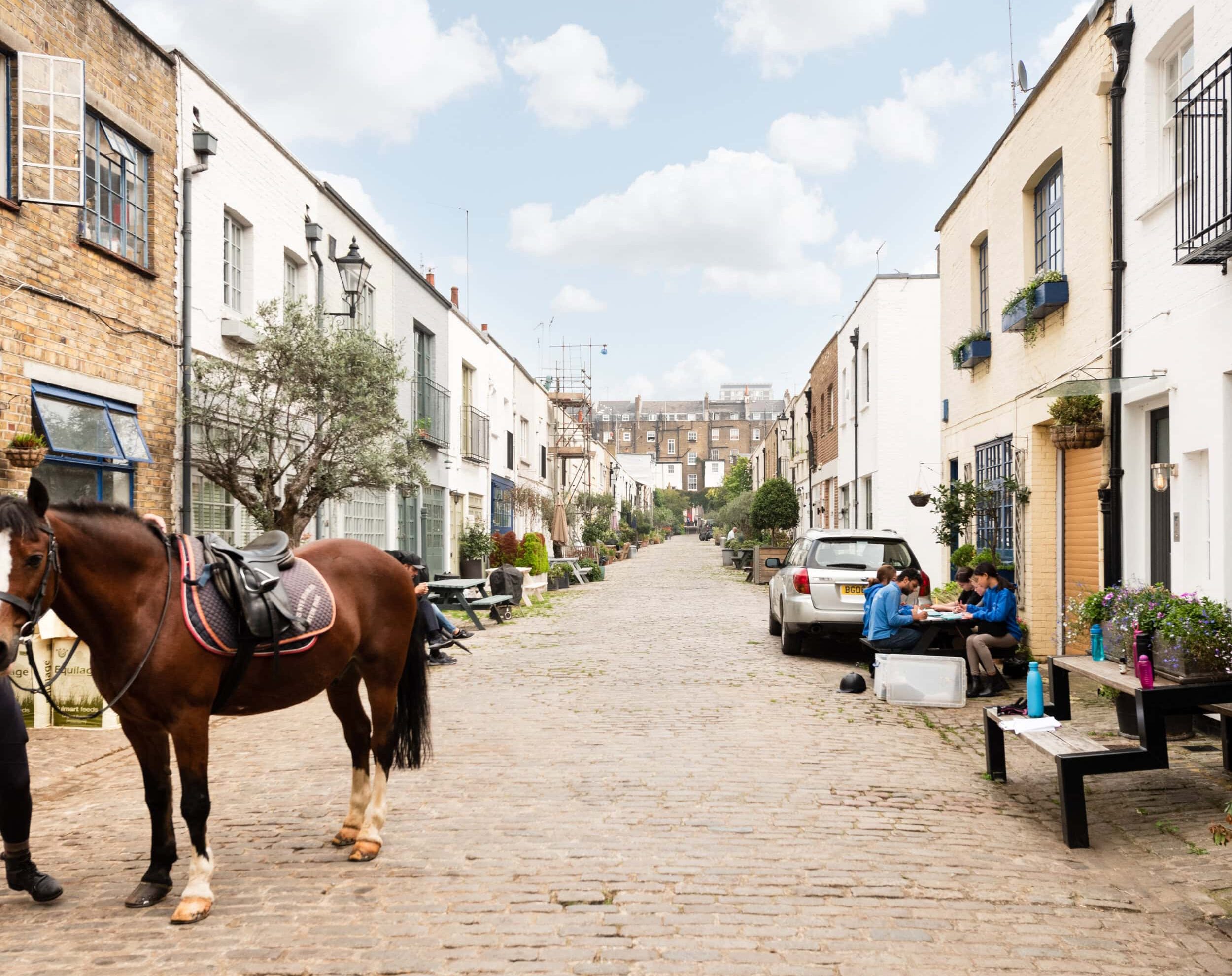 buying or selling a mews property