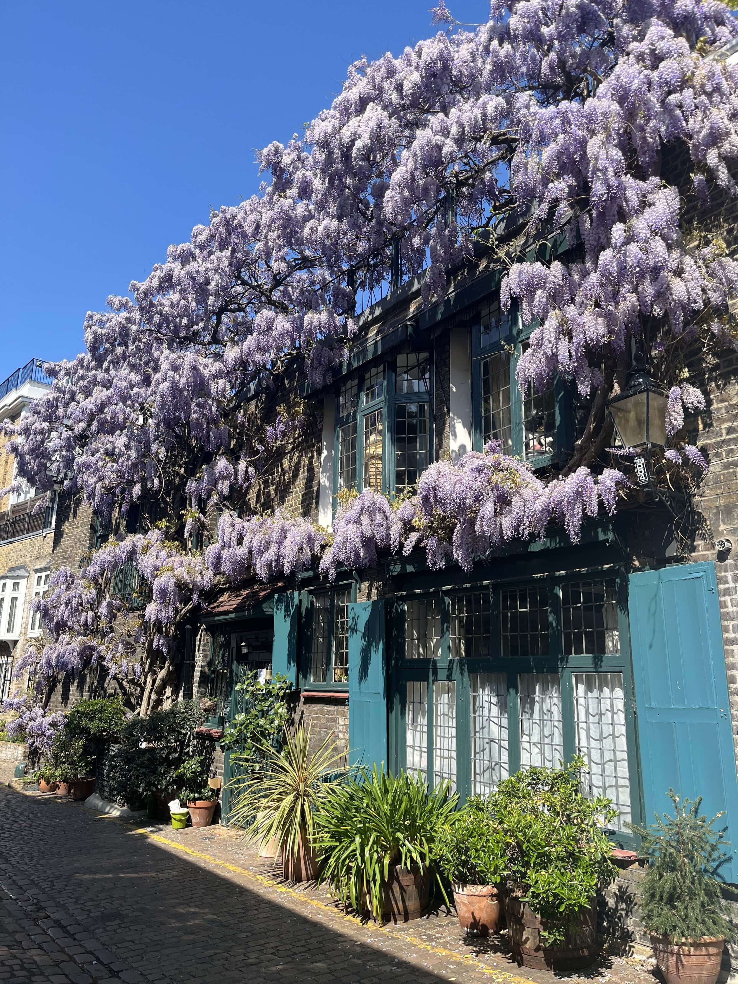 A house in one of London's hidden mews streets