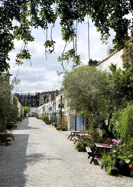 Mews street in London