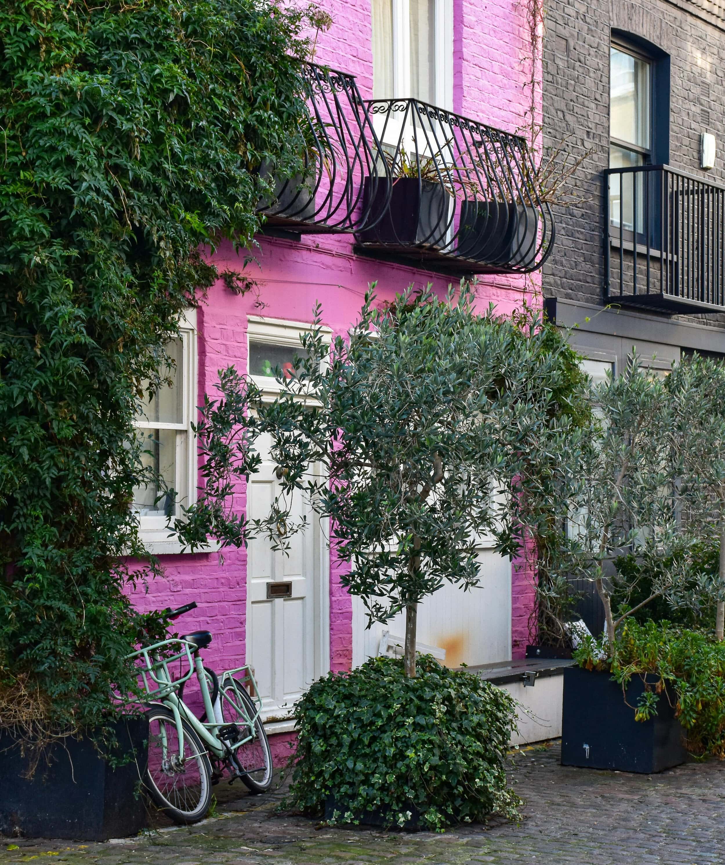 mews streets