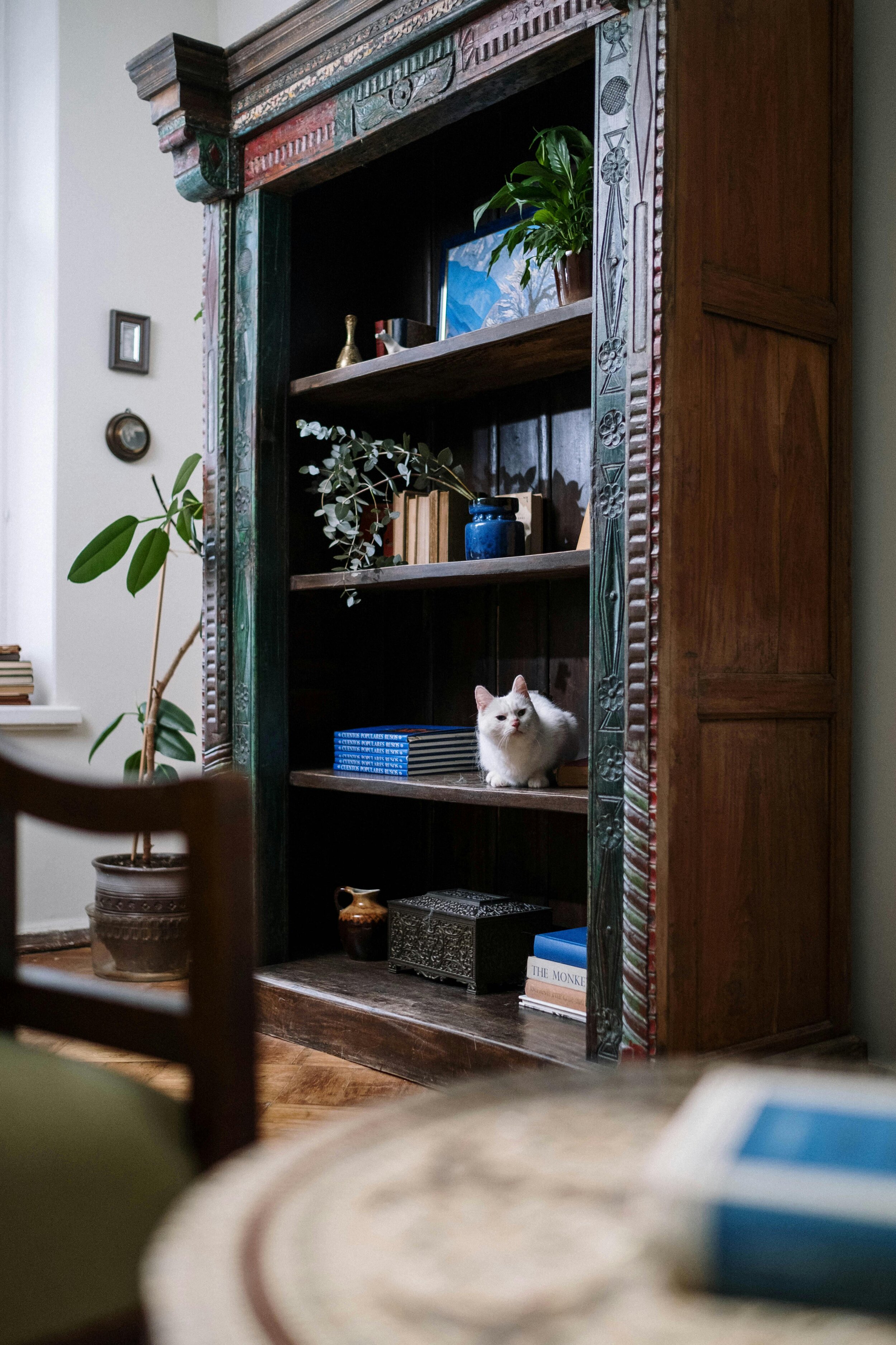 Bookcase in a mews house