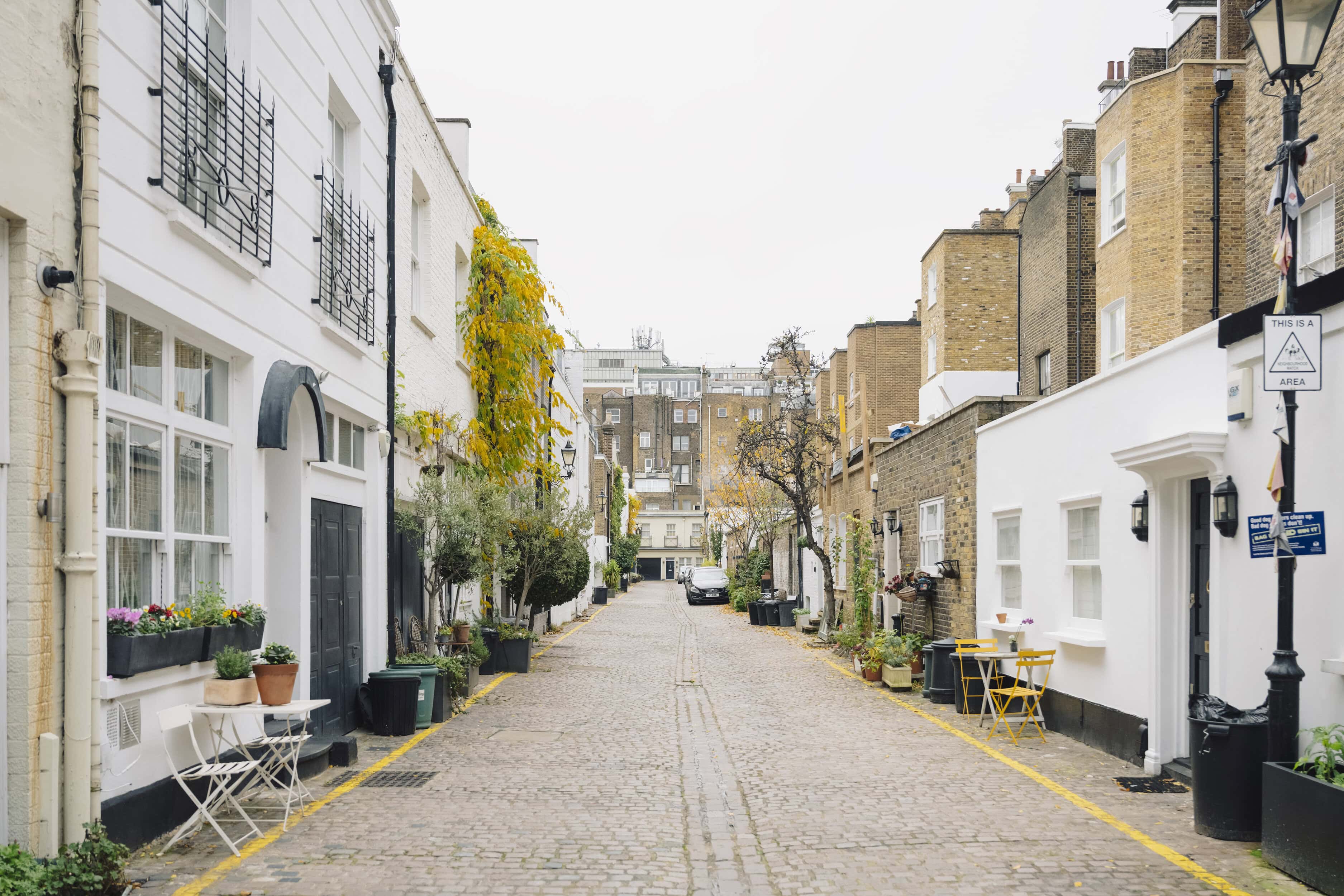 Mews streets
