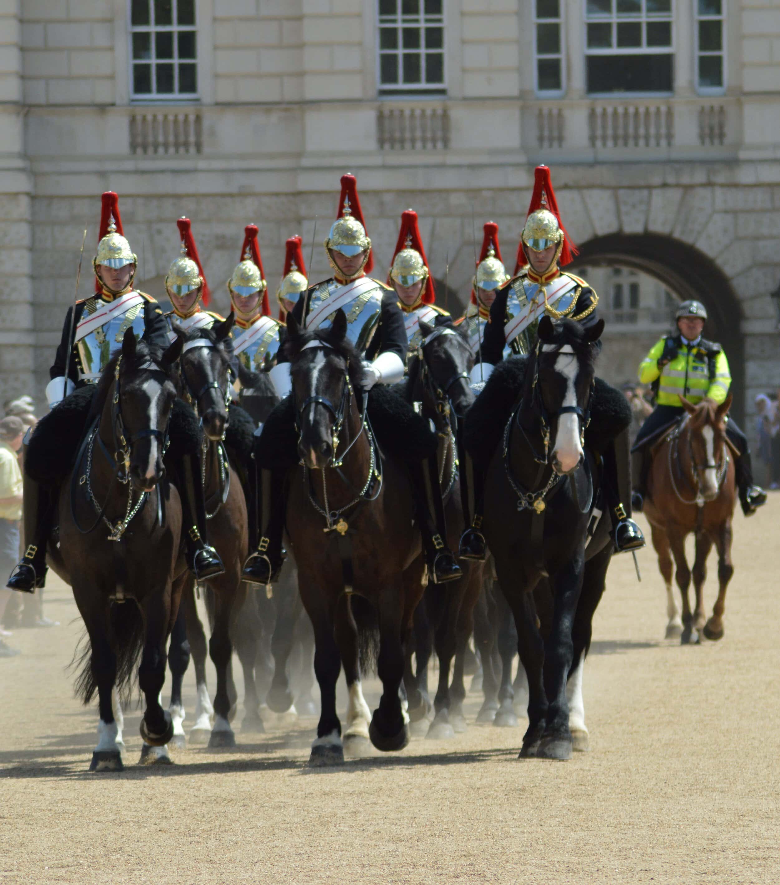 Horses in Royal Mews, London