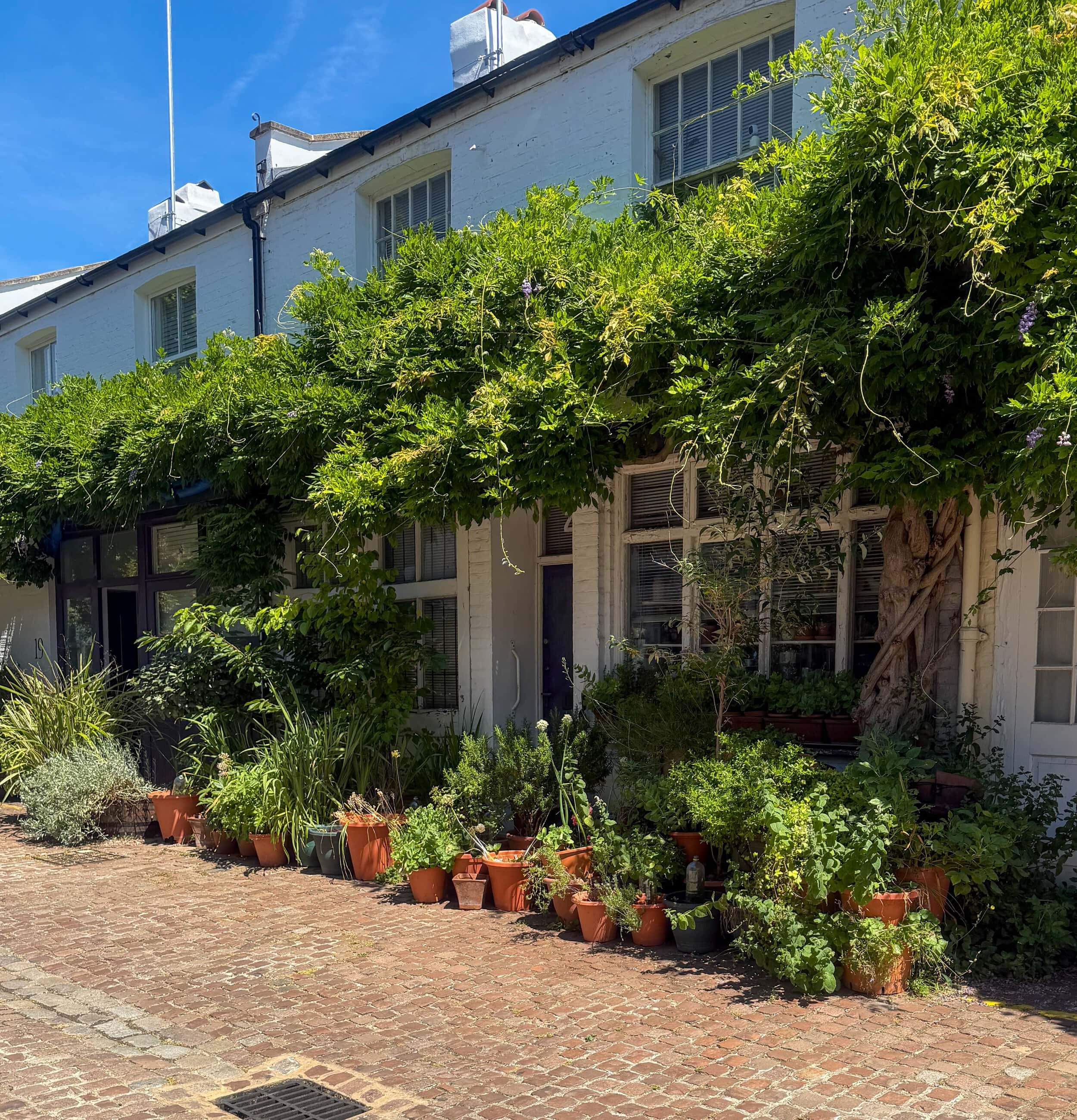 Lush garden with potted plants outside a house on Pembridge Mews, Notting Hill.
