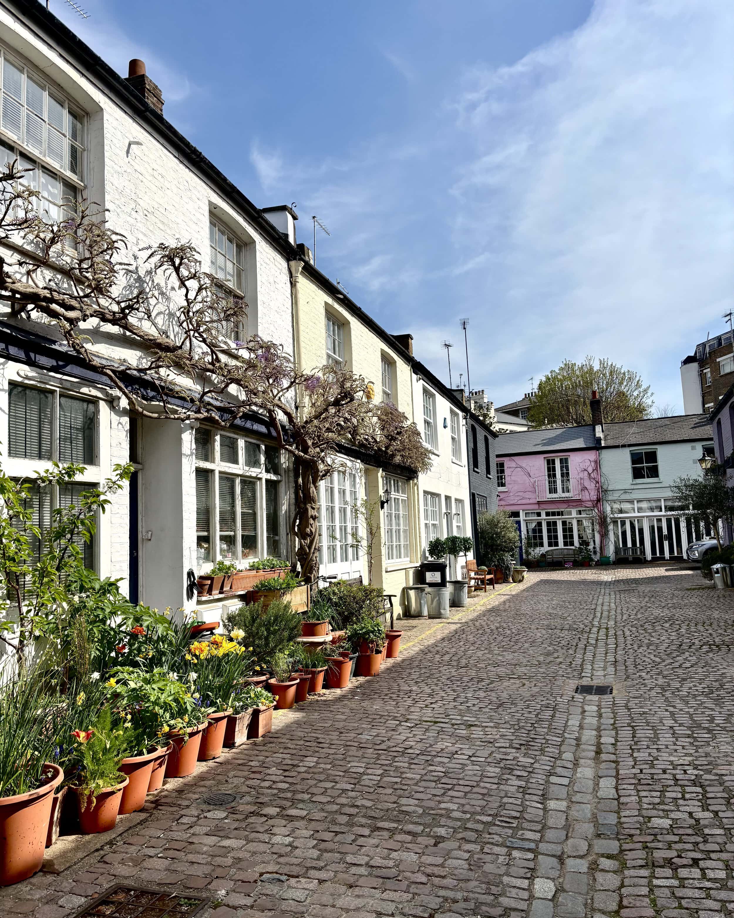 Picturesque row houses in Notting Hill with cobbled street and potted plants, some available to rent in Notting Hill