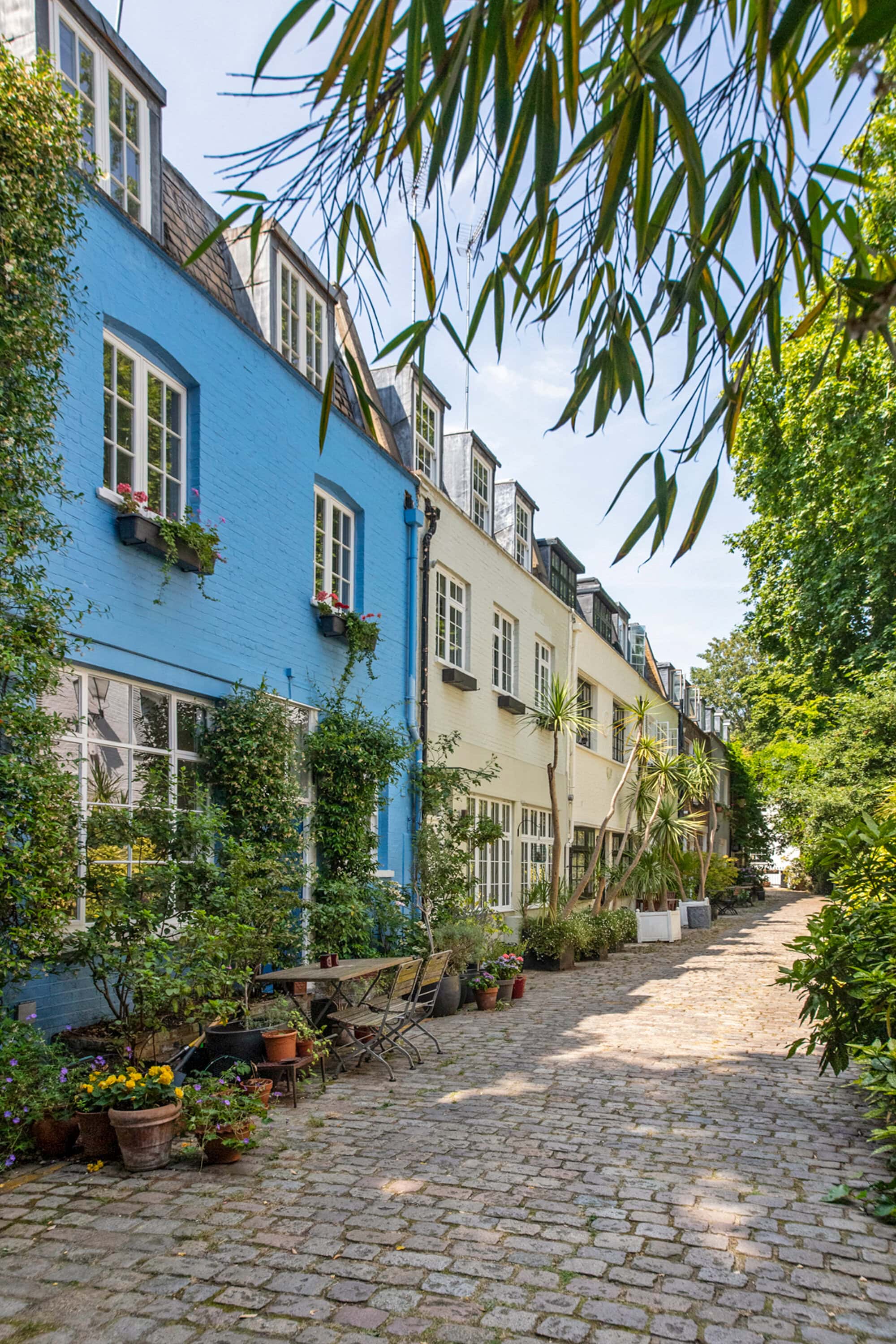Albion Mews is renowed for its colourful mews houses lining a cobbled street with lush greenery and potted plants.