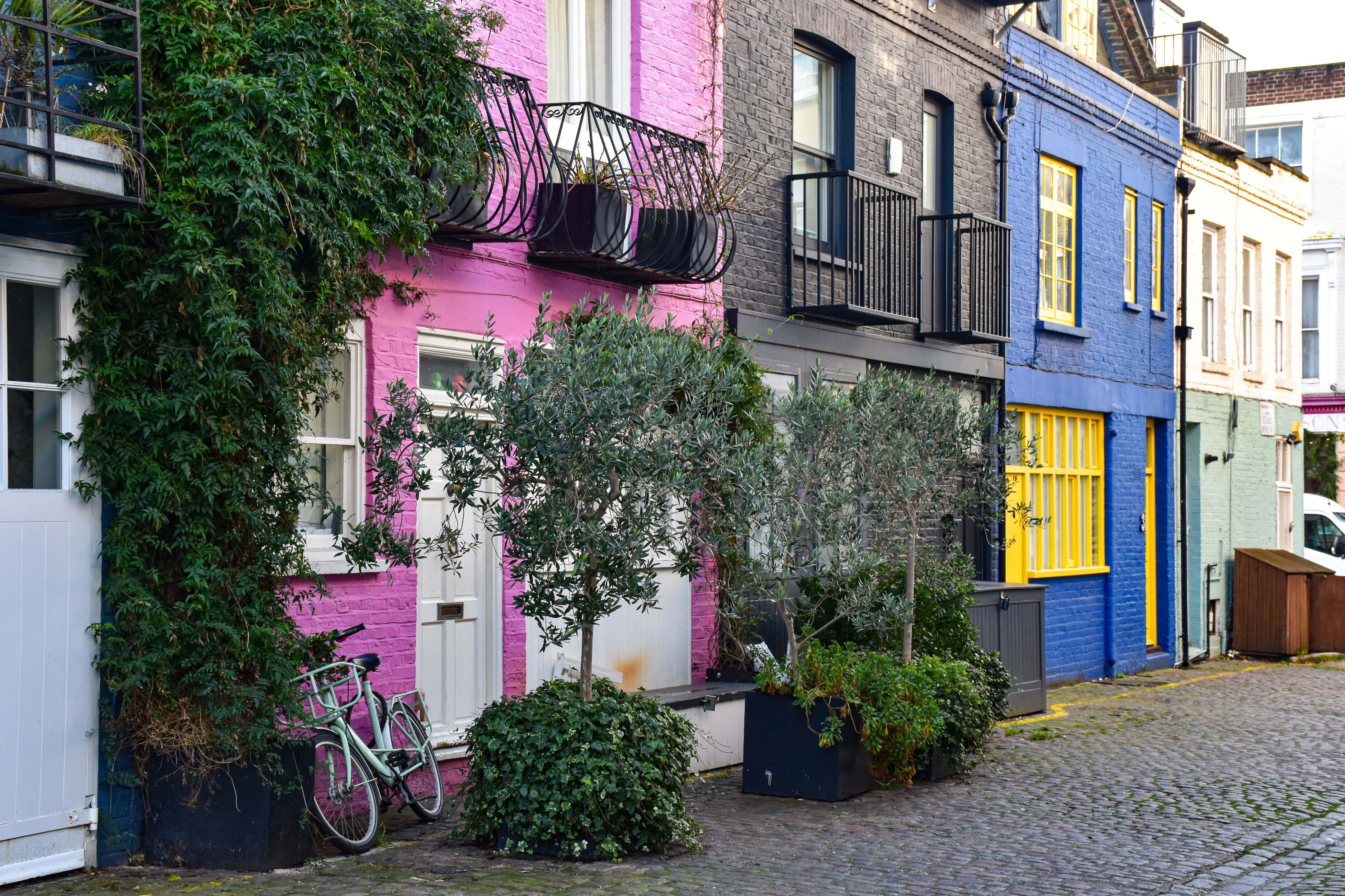 Vibrant pink, blue, and grey houses on St. Lukes Mews with greenery and bicycles, a popular mews street among those looking to buy in Notting Hill.