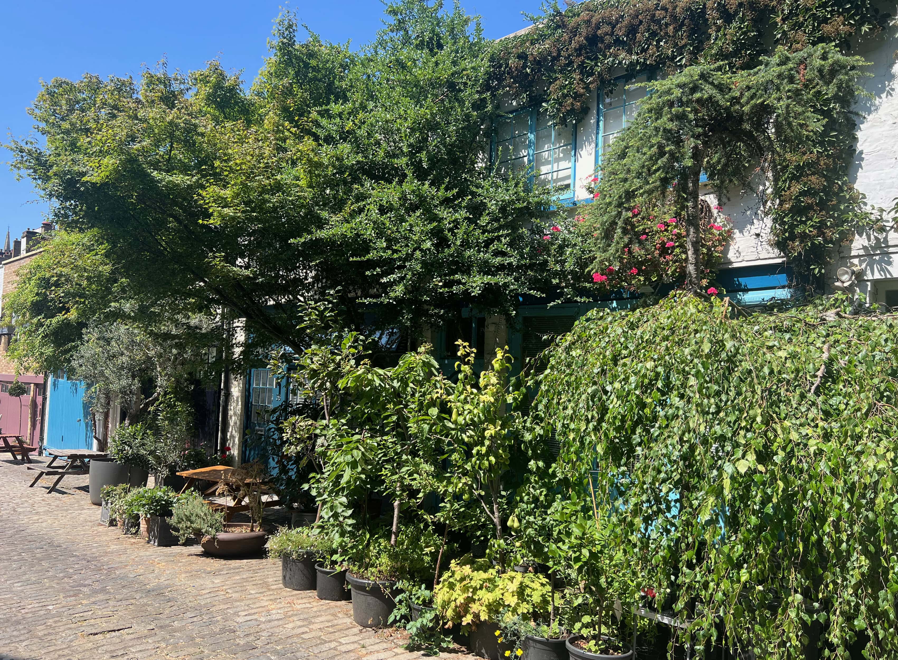 Mews in Bloom competition results 2027