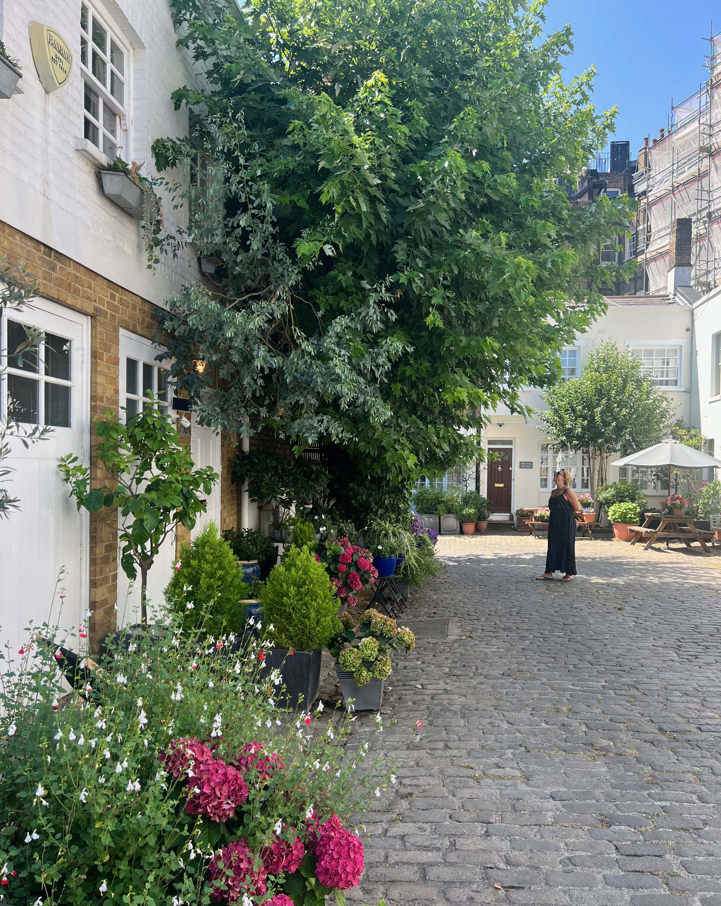 Bathurst Mews which took part in Mews in Bloom