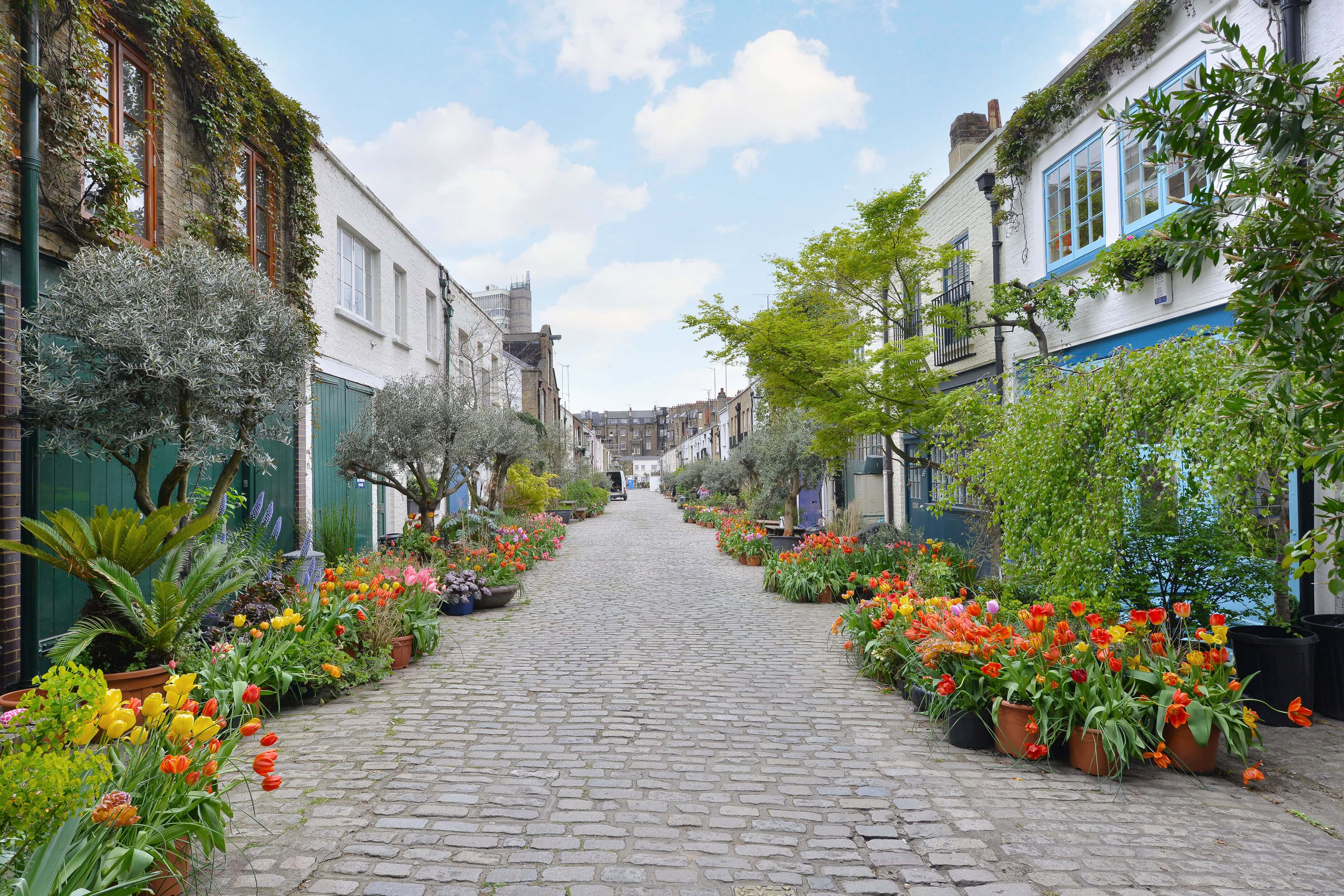 Bathurst Mews, W2, is the most sought-after mews by applicants looking at renting in Bayswater through Lurot Brand.