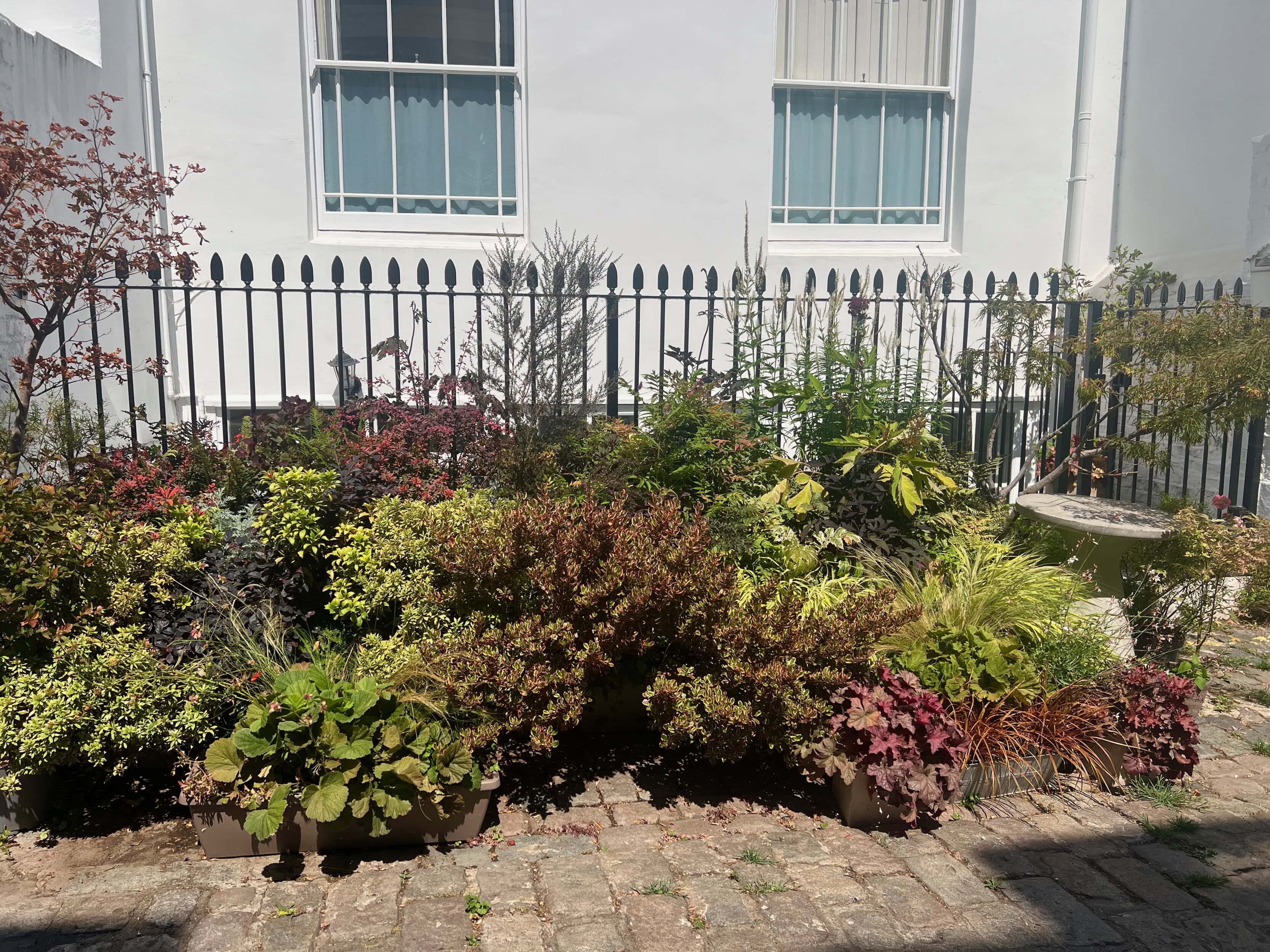 Craven Hill Mews plants and flowers outside their mews for Mews in Bloom